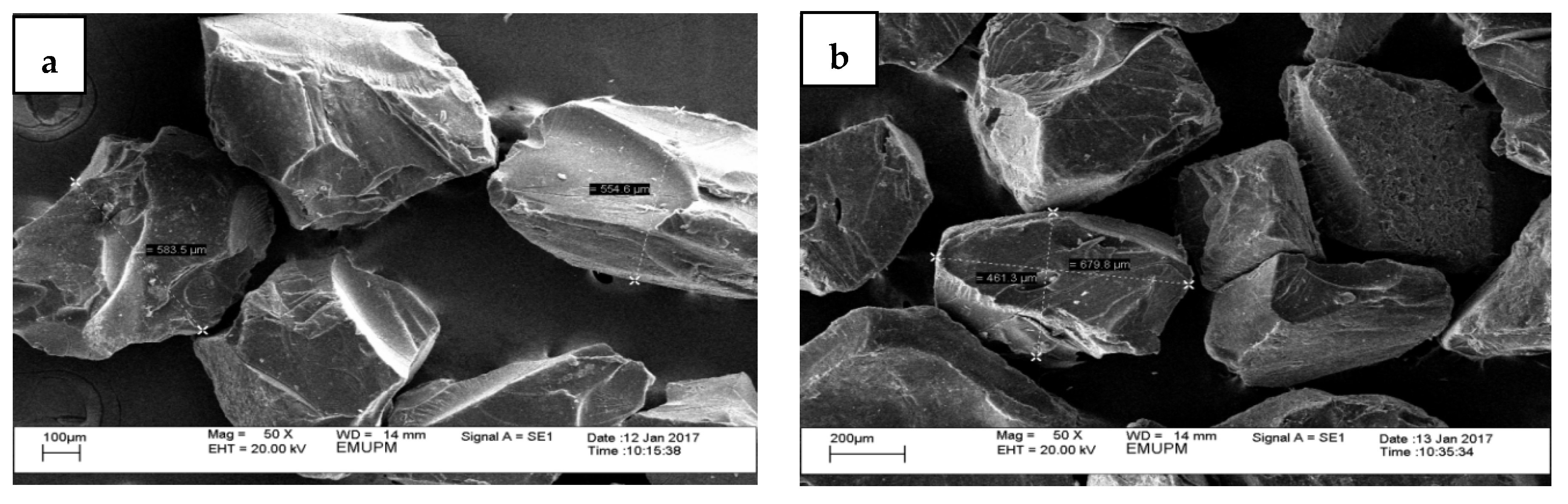Foods 10 02248 g002a