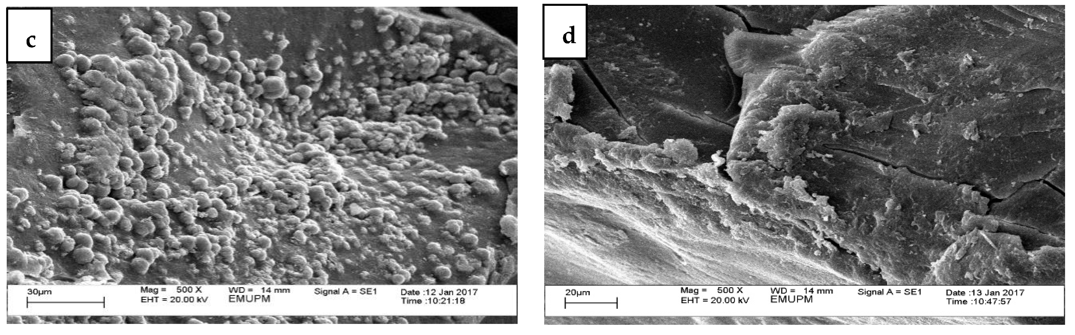 Foods 10 02248 g002b