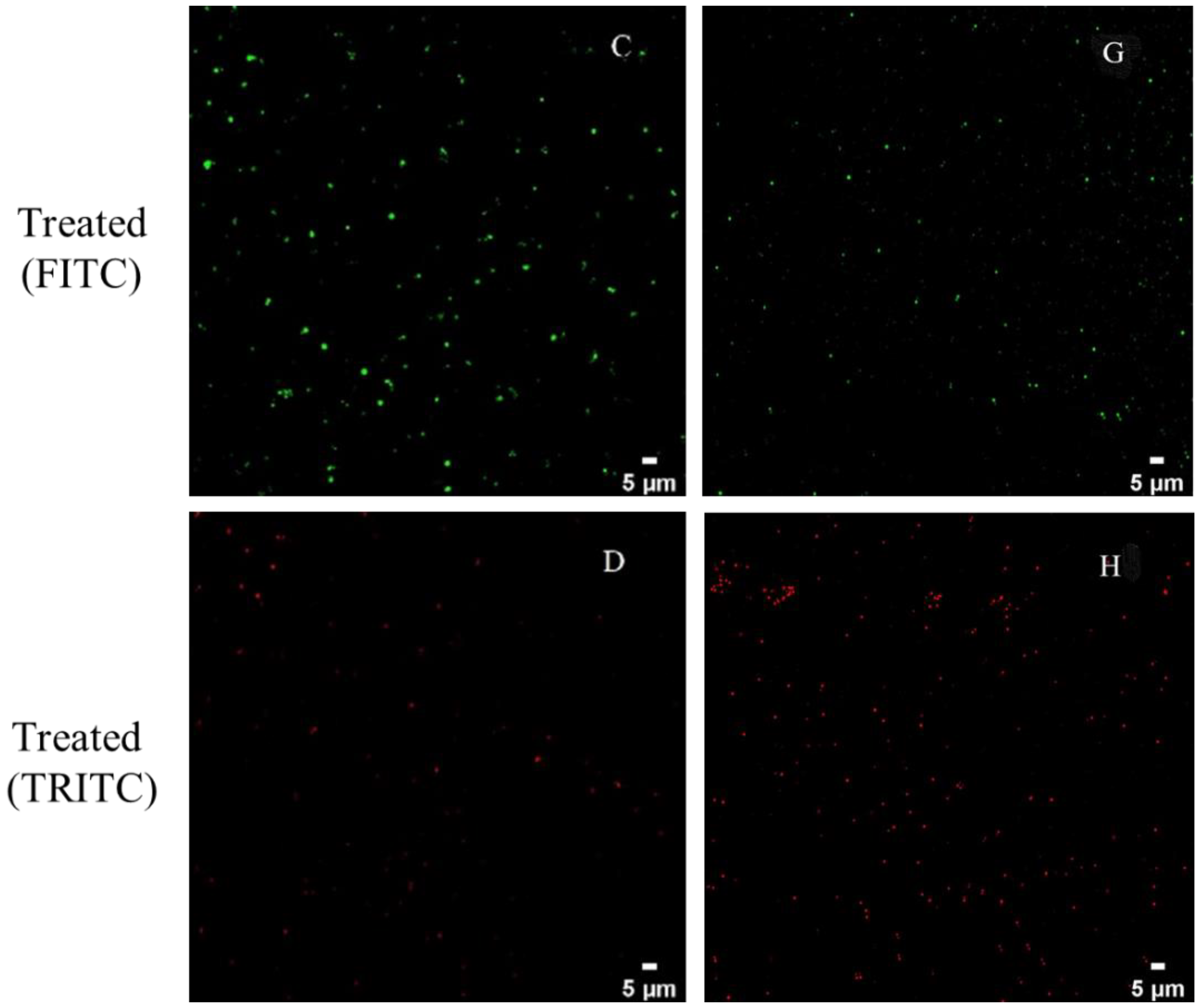 Foods 11 00996 g003b