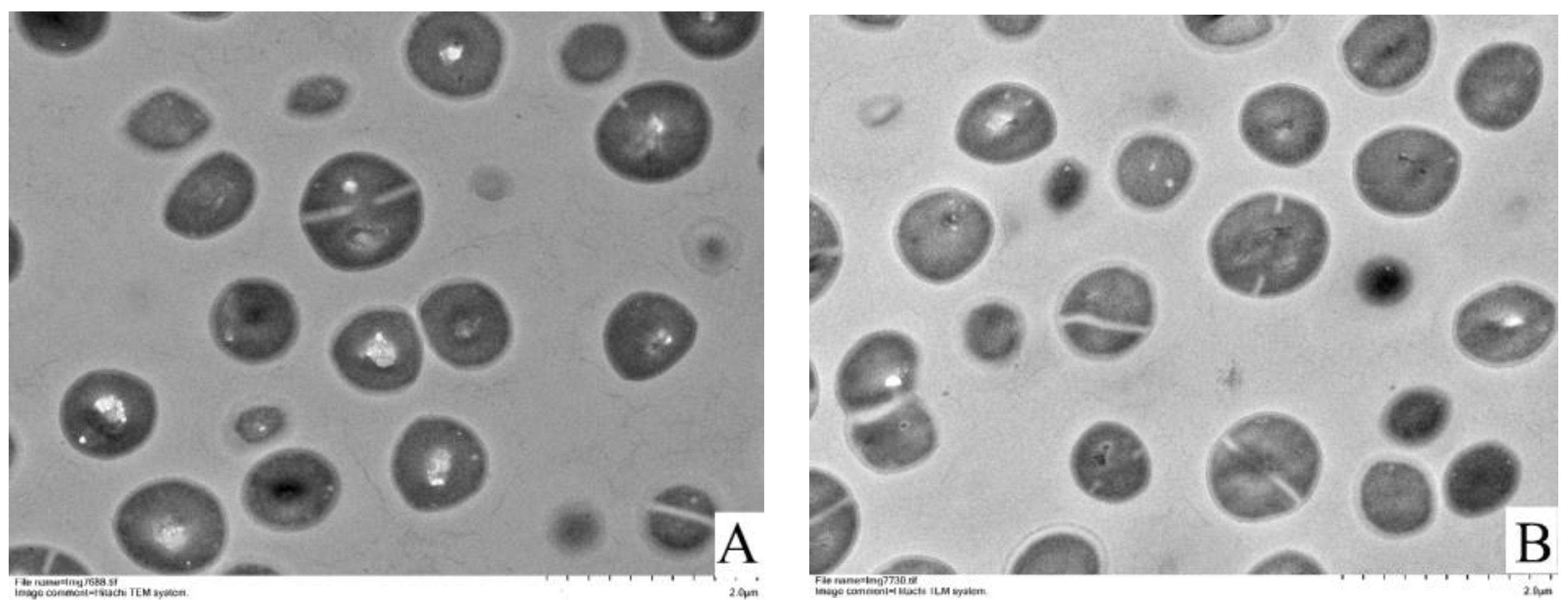 Foods 11 00996 g004a