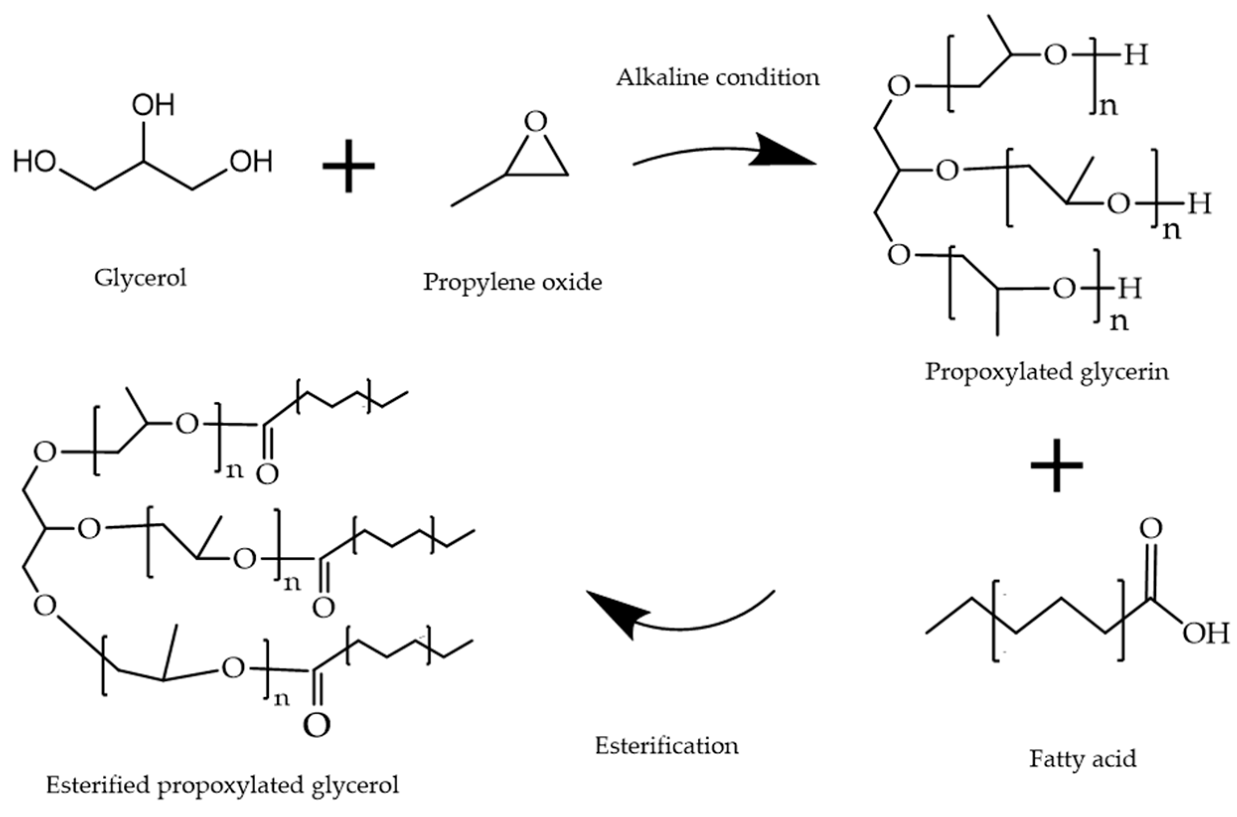 Future Of Structured Lipids Enzymatic Synthesis And Their New