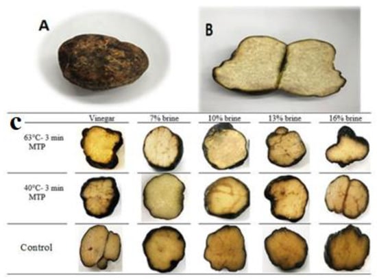 Foods Free Full Text Effects Of Mild Thermal Processing And Storage