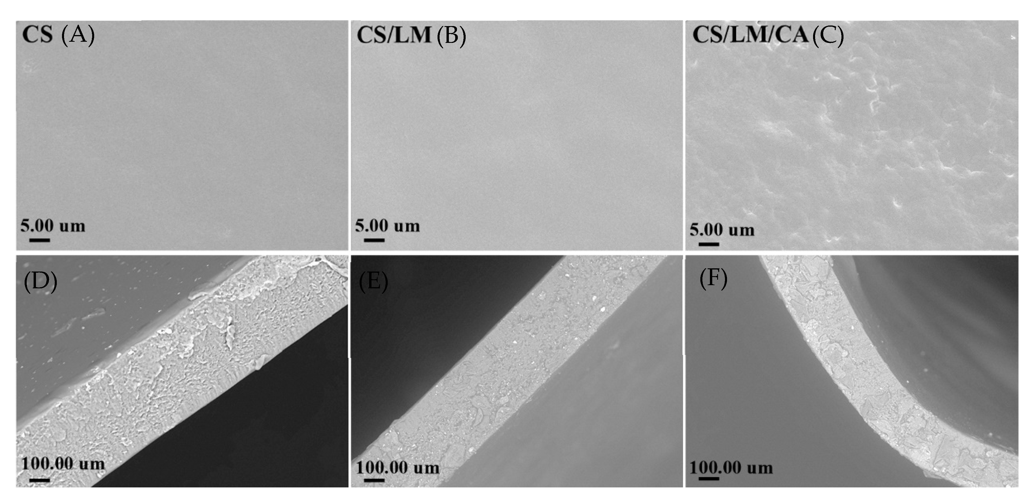 Foods 12 02642 g004 Foods 12 02642 g004