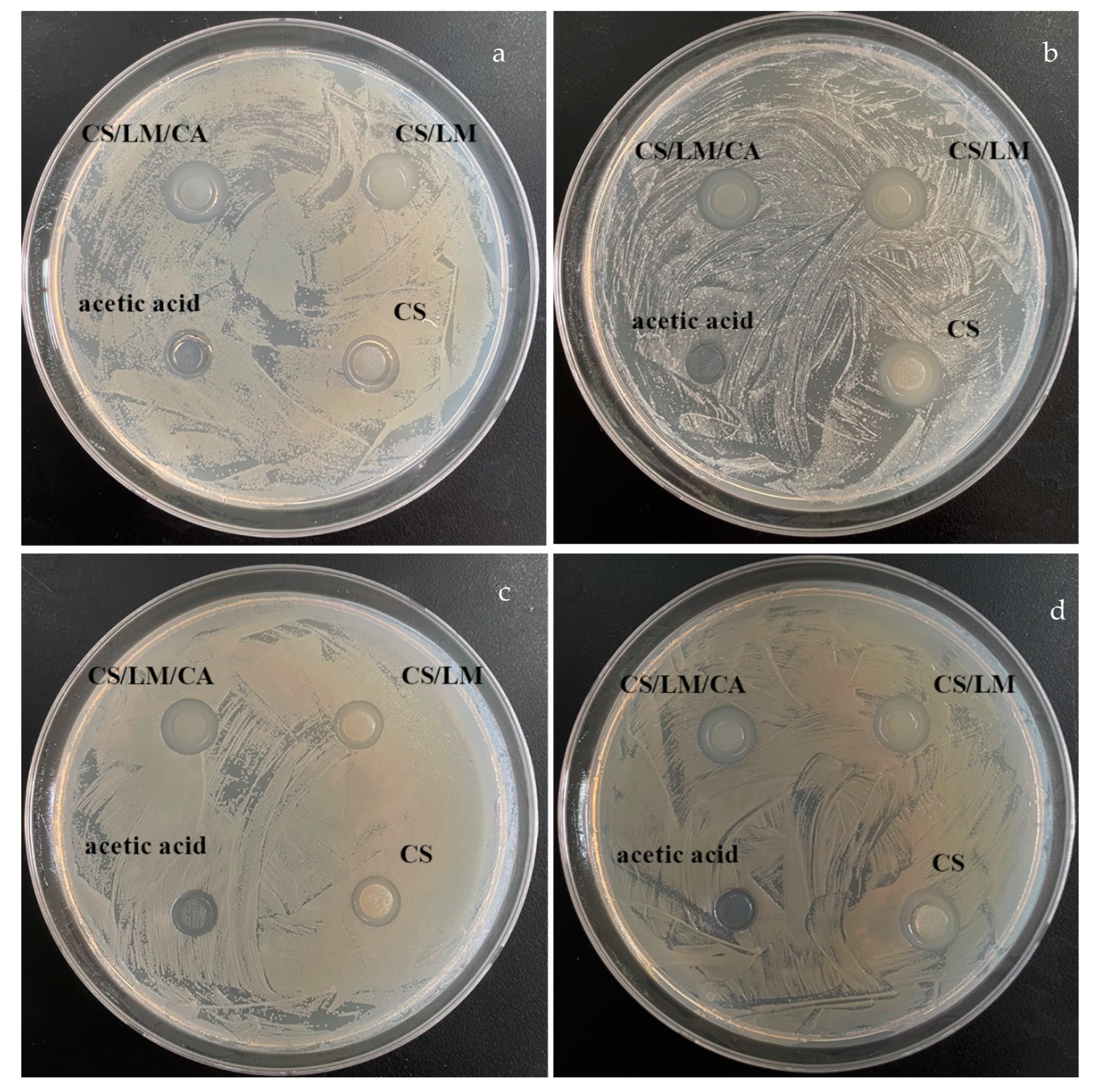 Foods 12 02642 g005 Foods 12 02642 g005