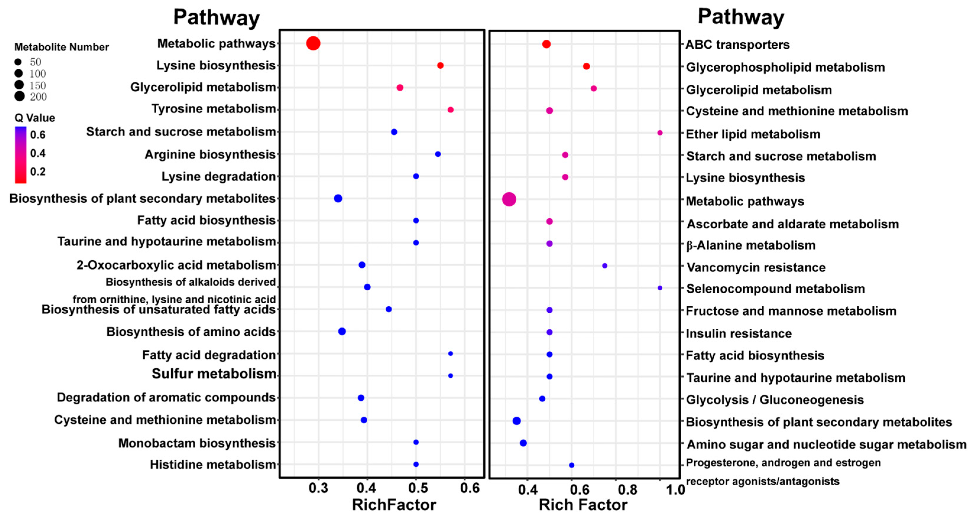 Foods Free Full Text Effect Of Air Drying On The Metabolic Profile