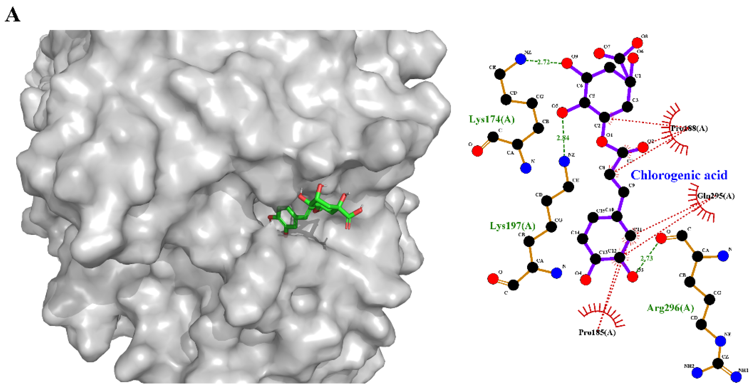 Foods 13 01245 g006a