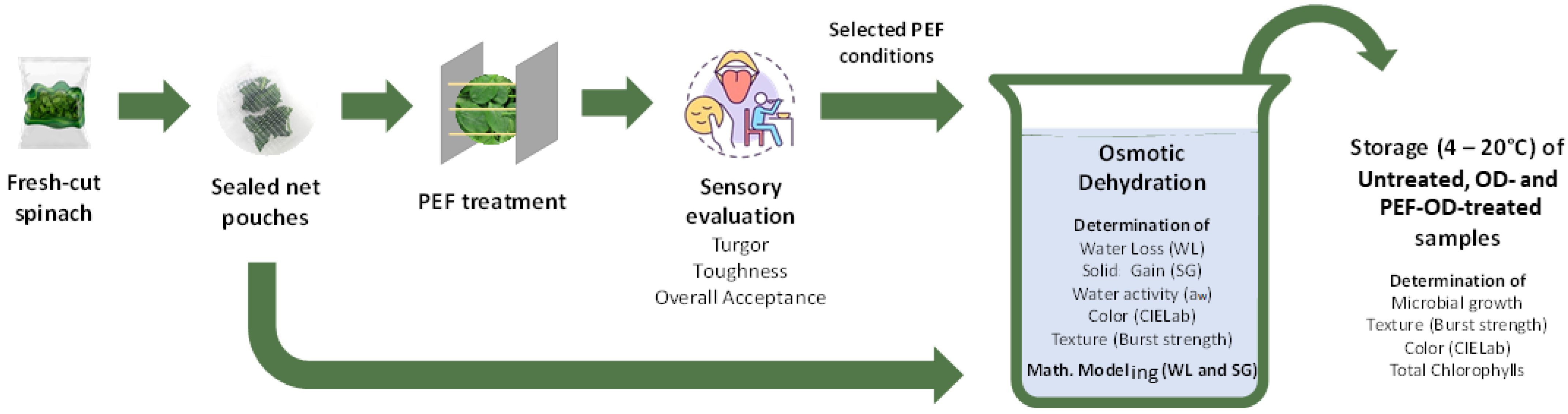 Foods 13 01410 sch001