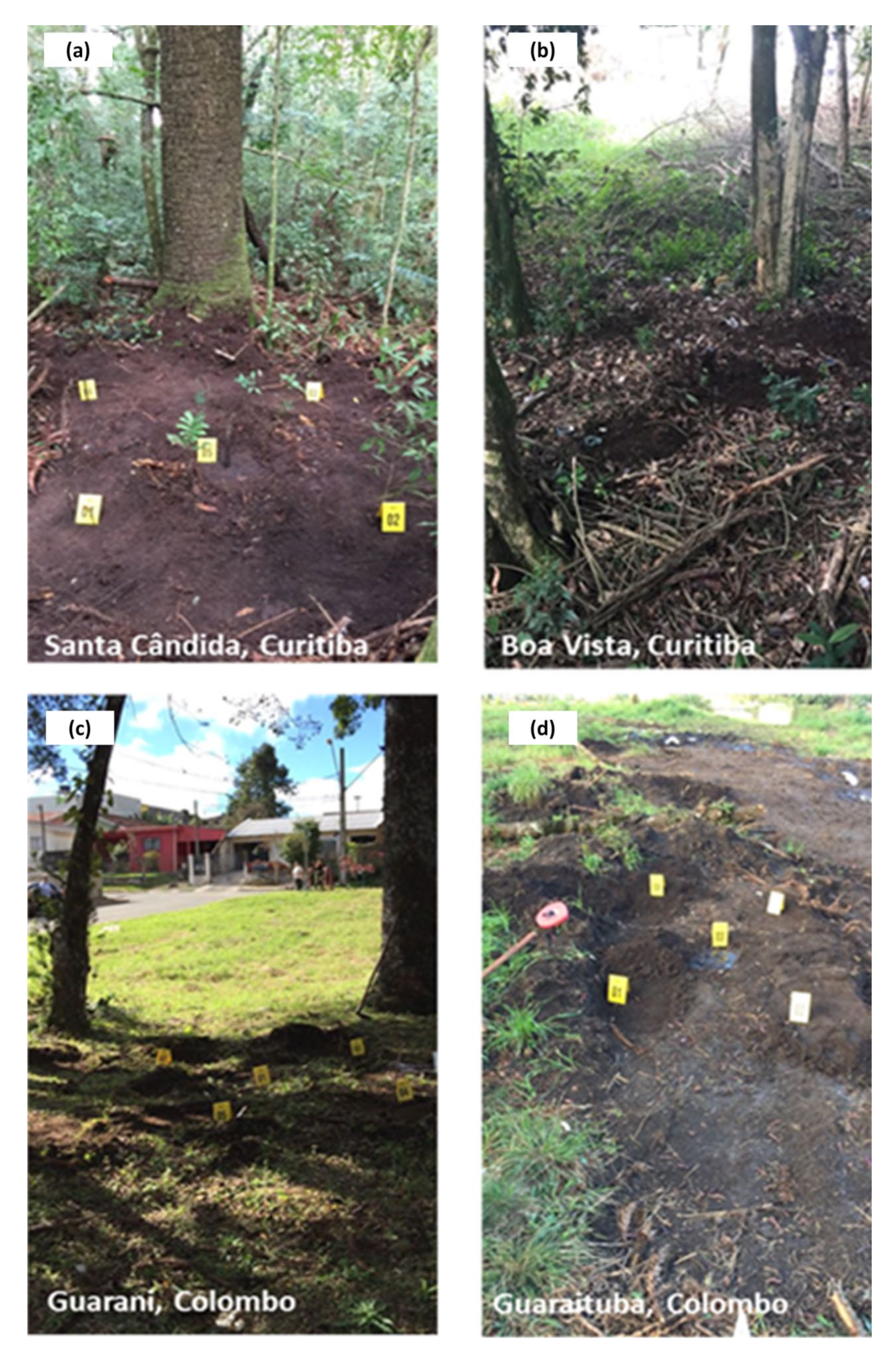 Forensicsci 02 00005 g002