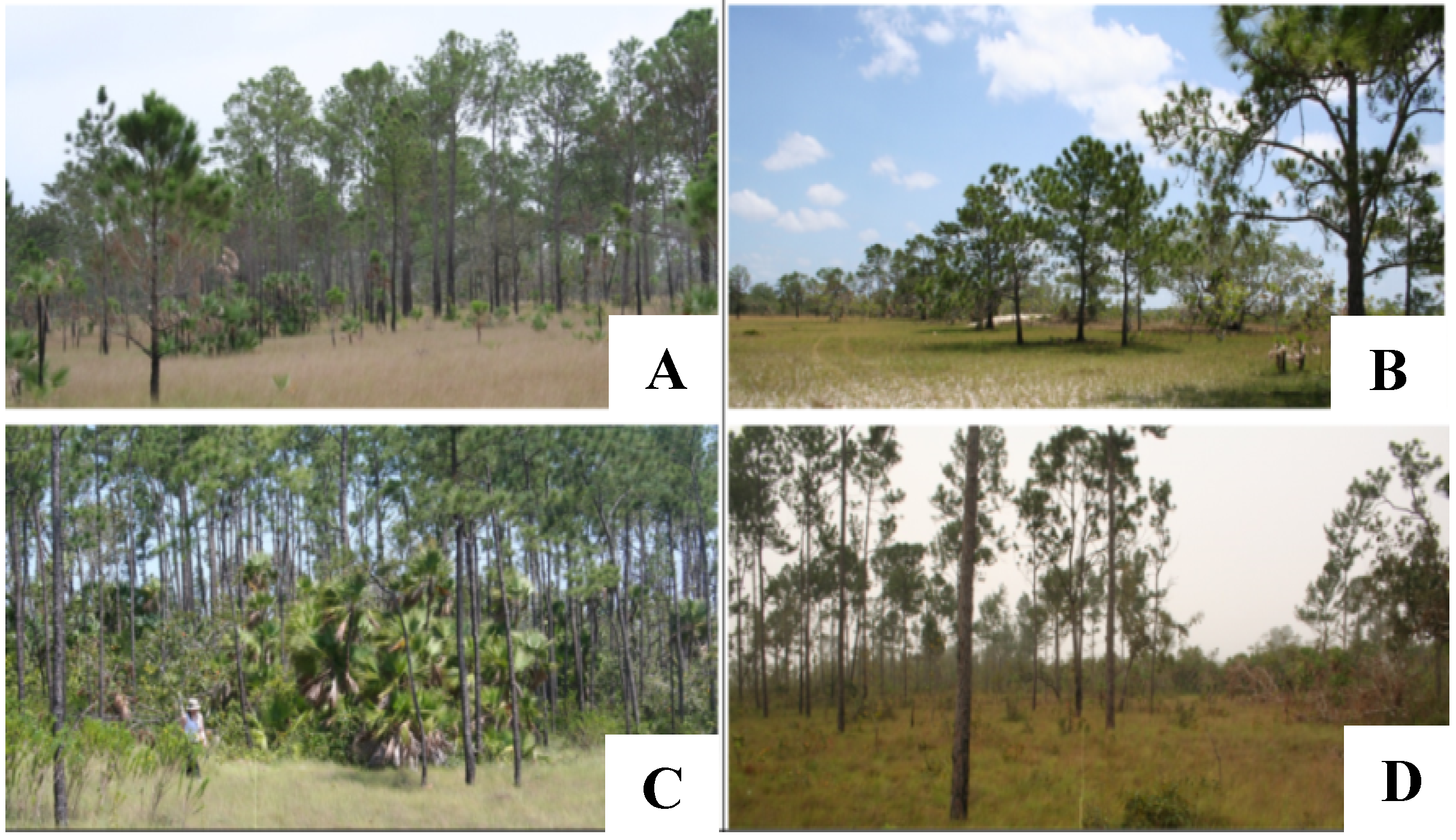 Forests 05 02377 g002