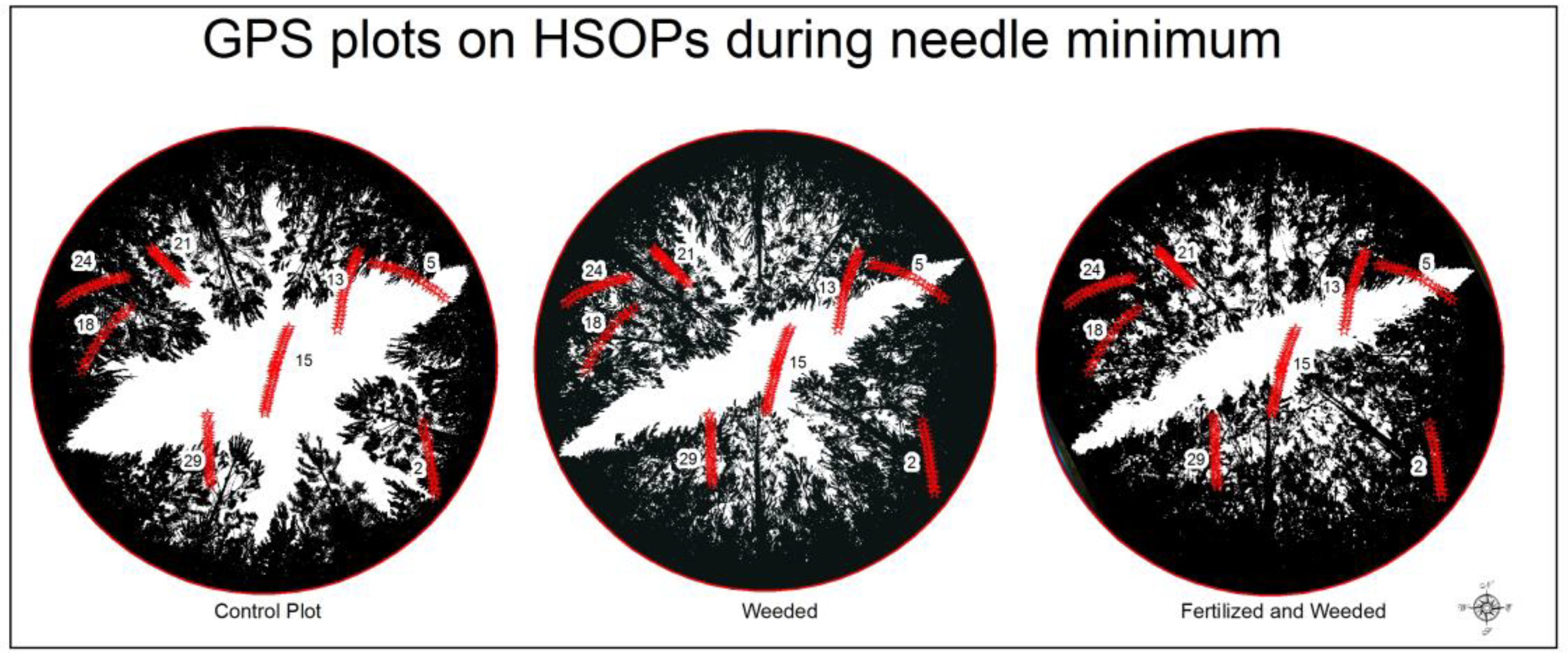 Forests 09 00226 g004