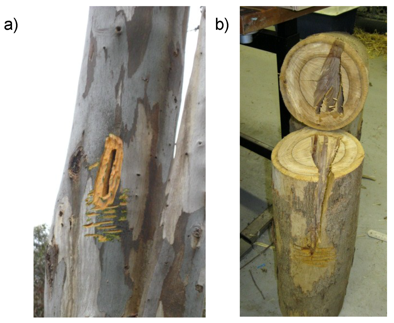 Forests 09 00235 g0a3