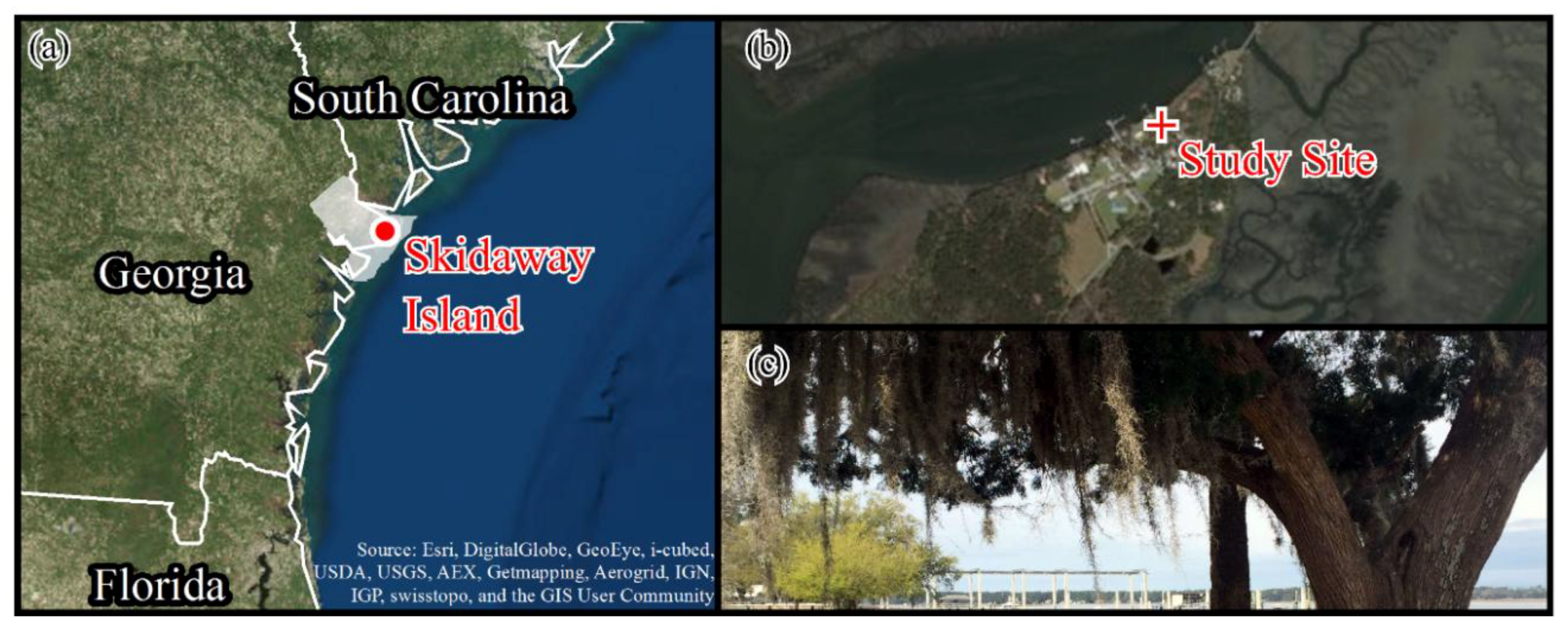 Forests 09 00236 g001