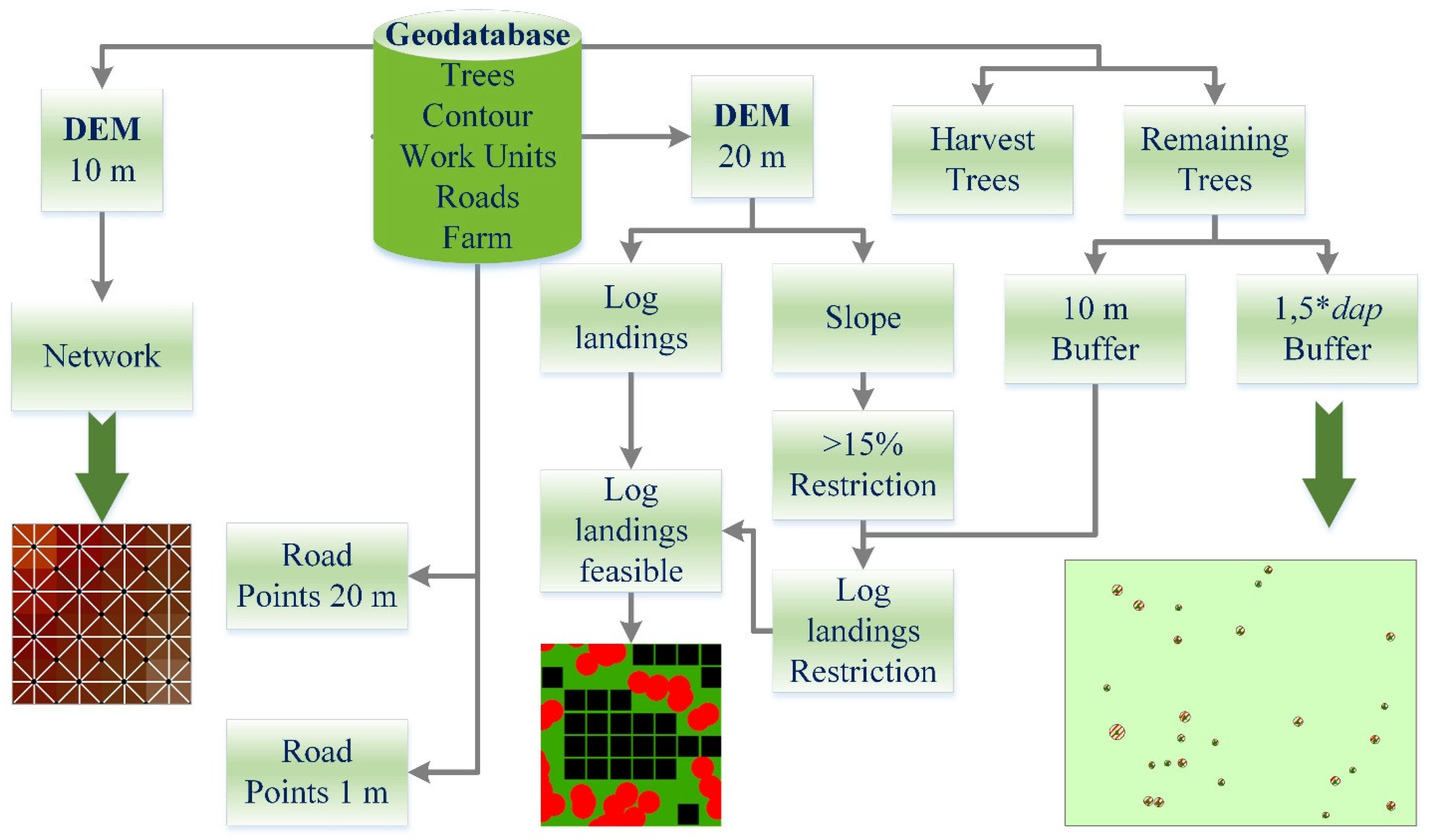 Forests 10 00252 g006