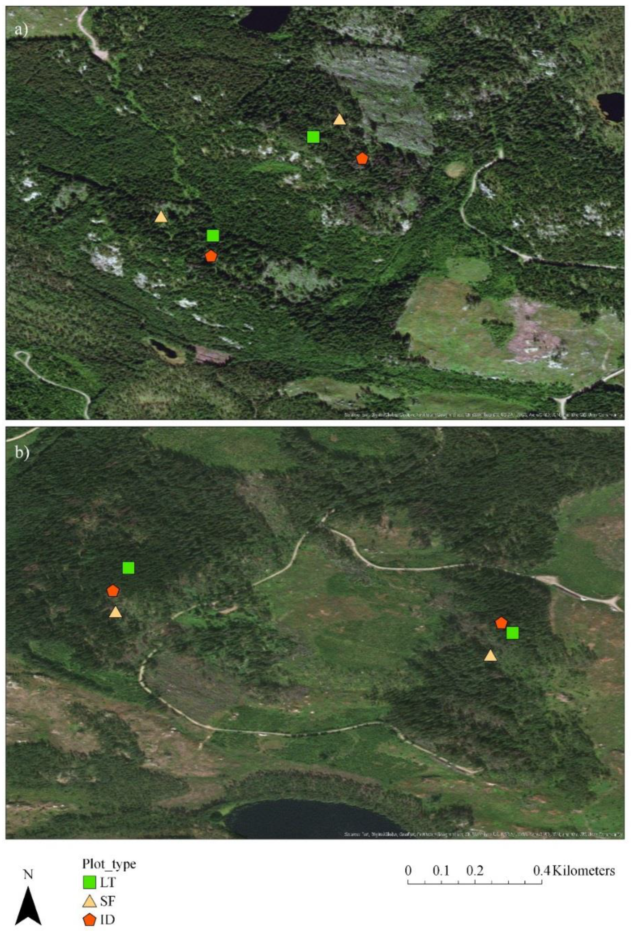 Forests 10 00307 g001