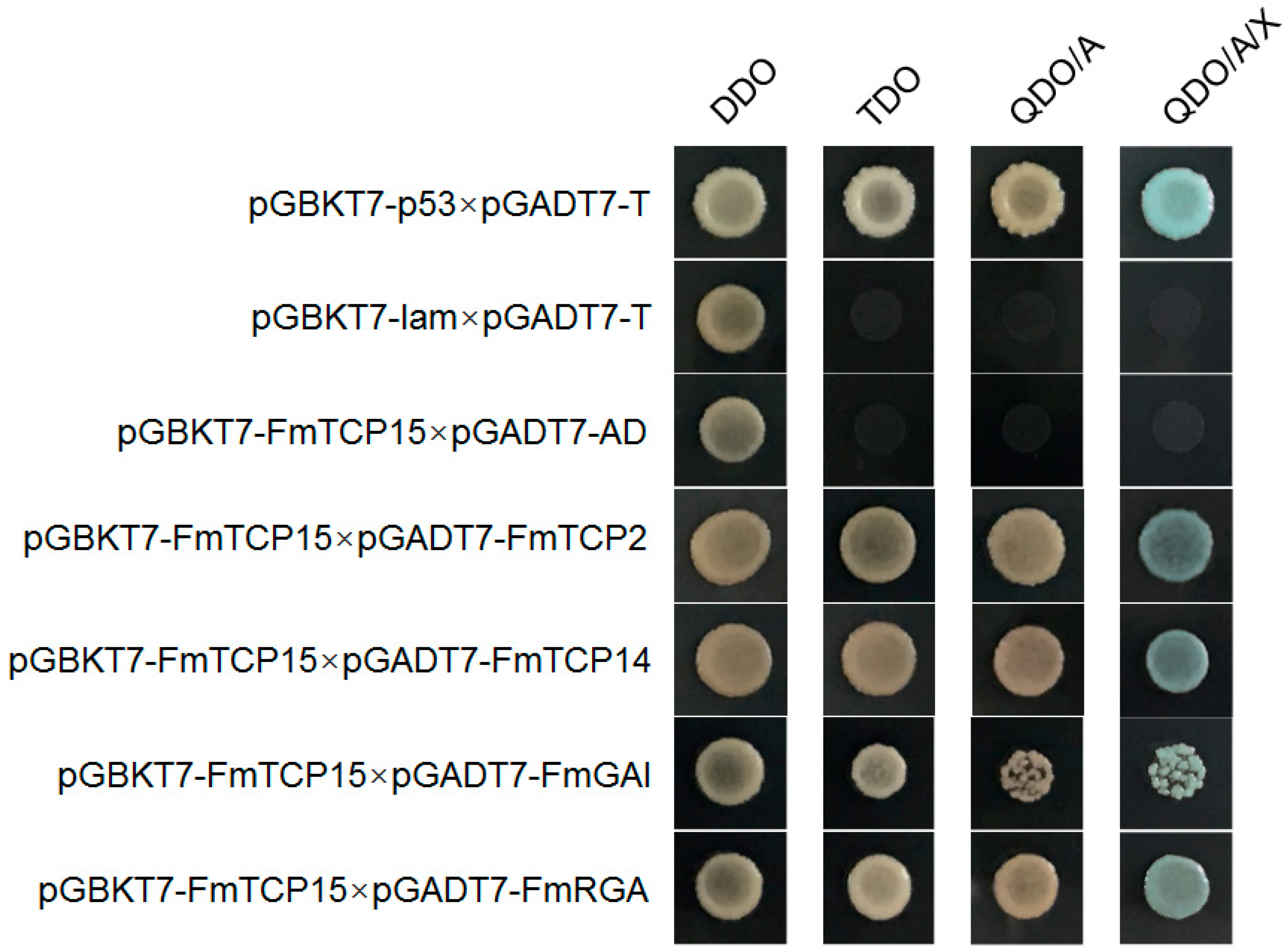 Forests 10 00343 g006