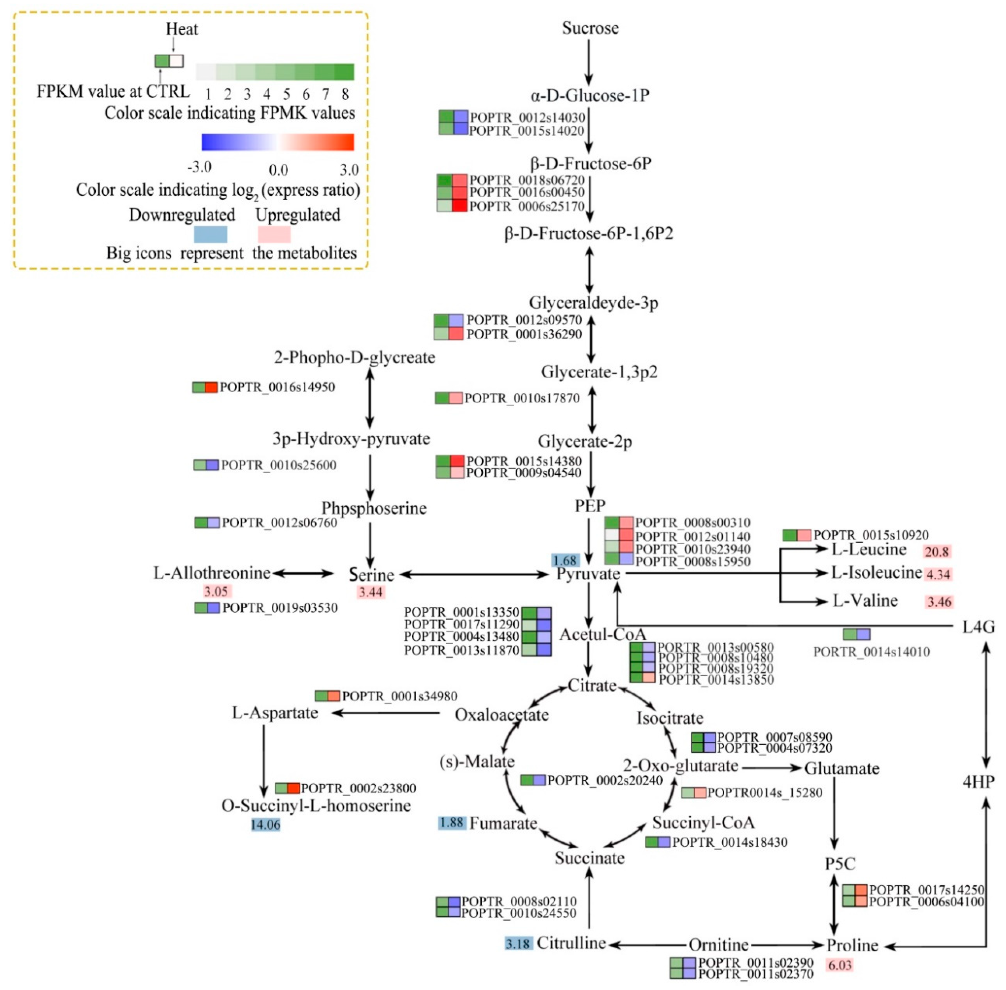 Forests 10 00383 g007