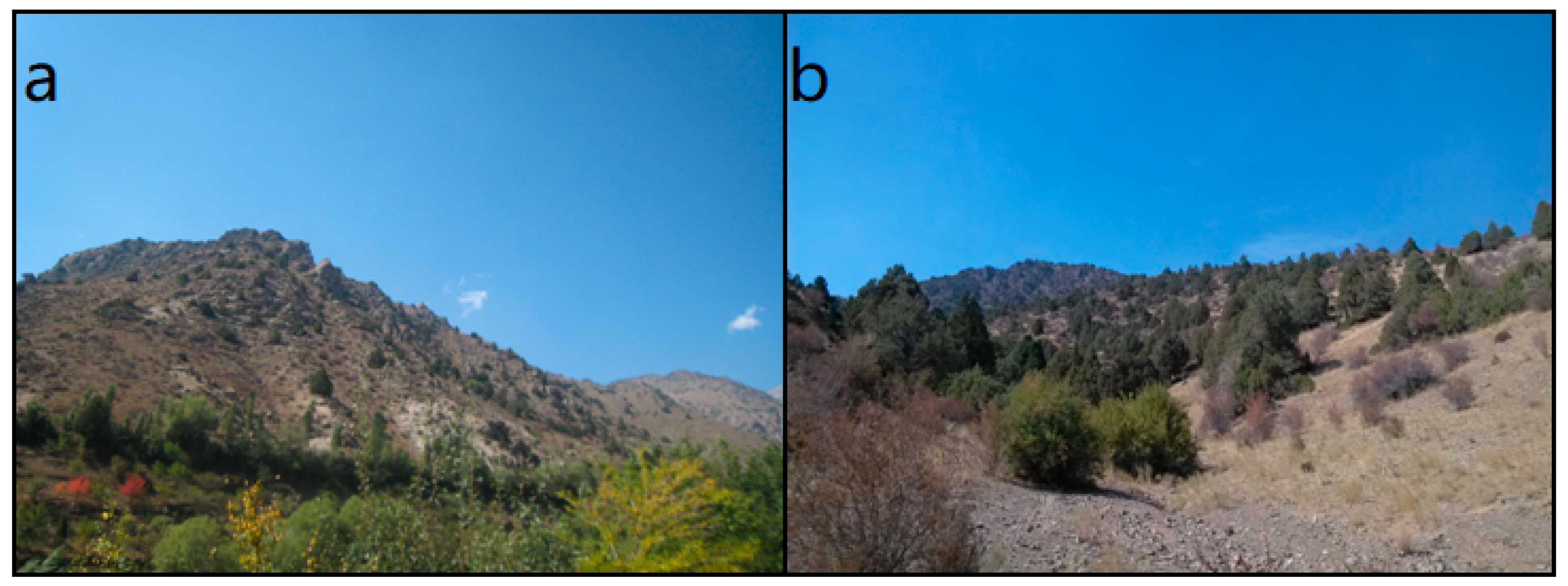 Forests 10 00505 g003