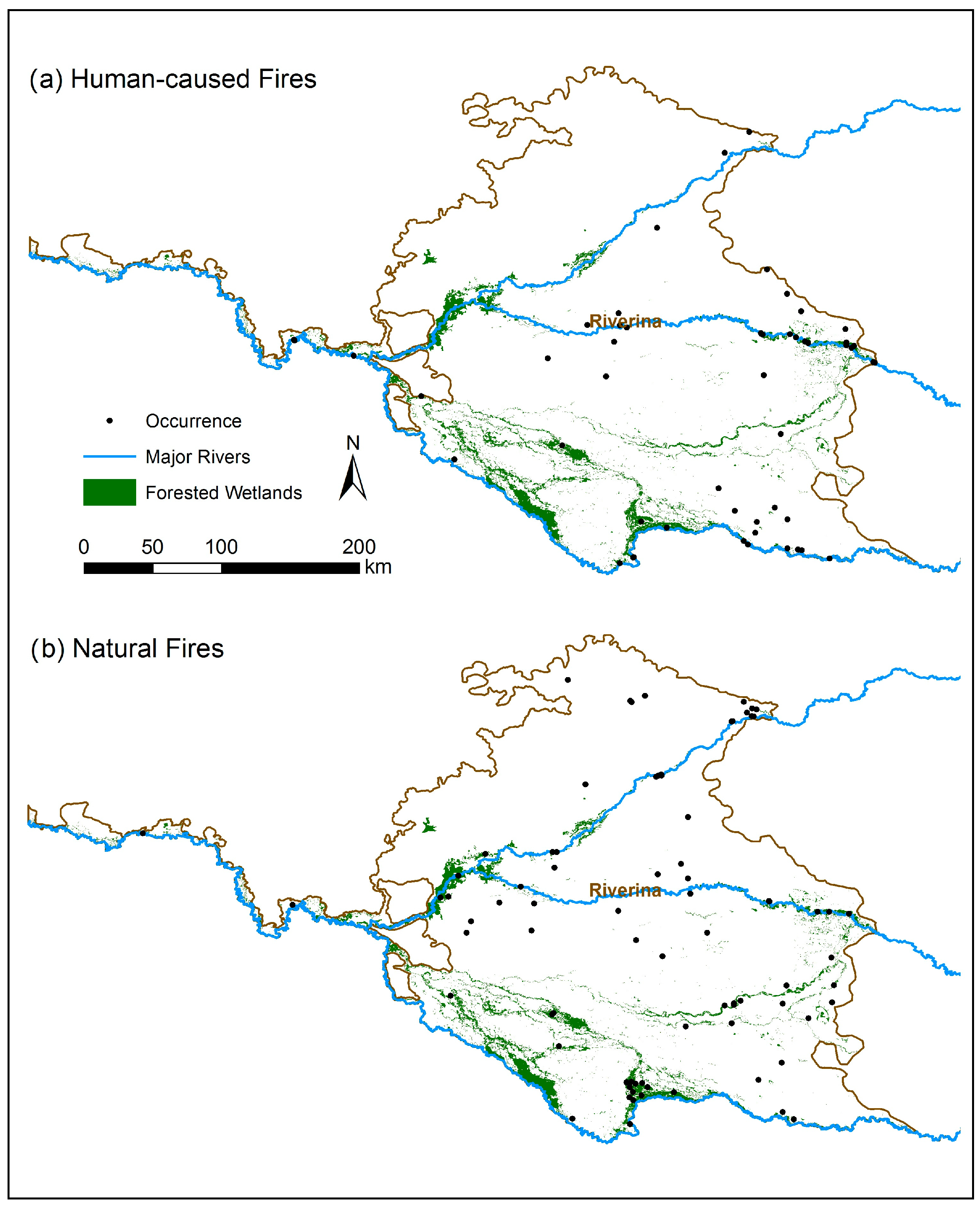 Forests 10 00524 g001