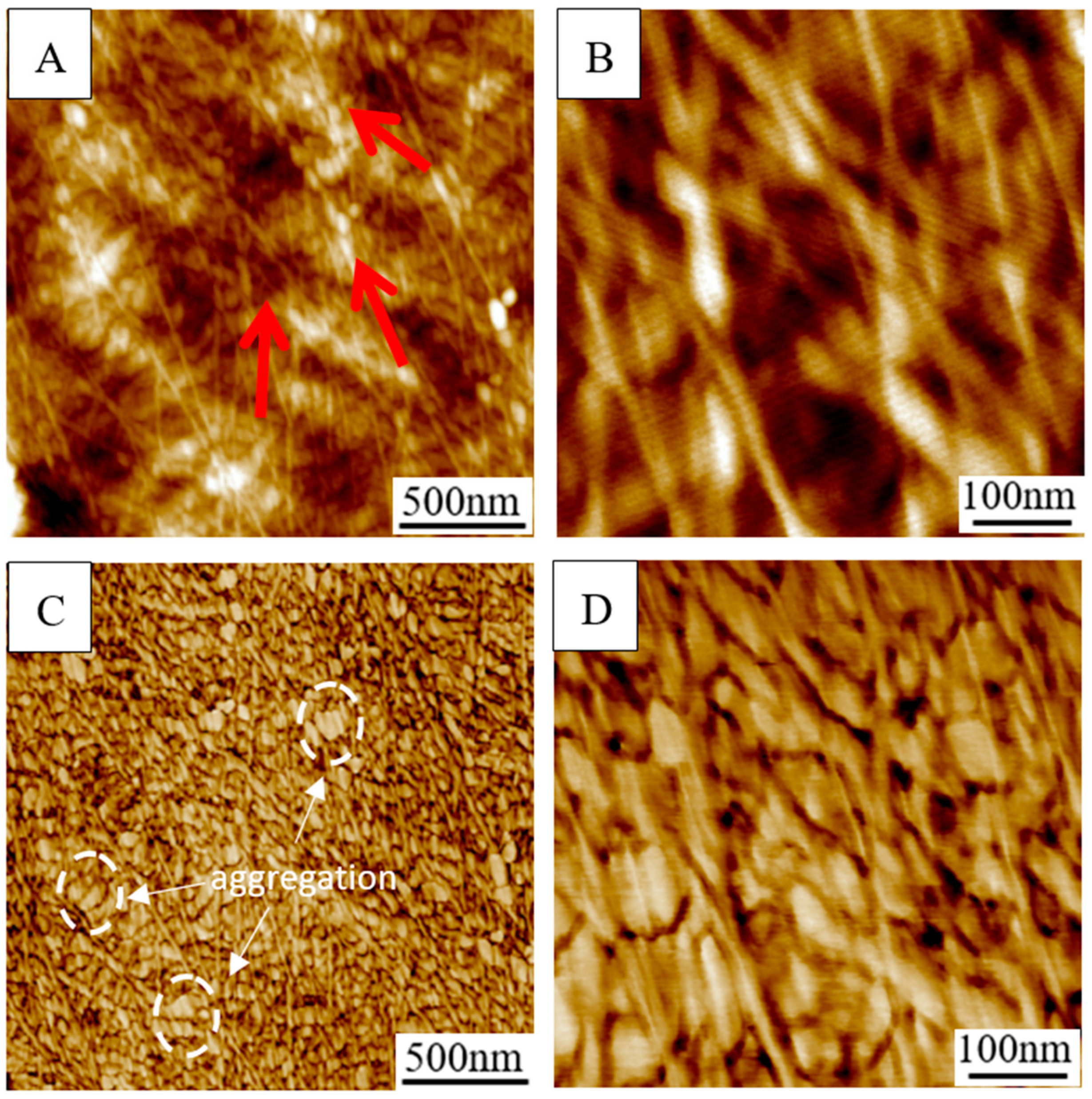 Forests 10 00938 g007