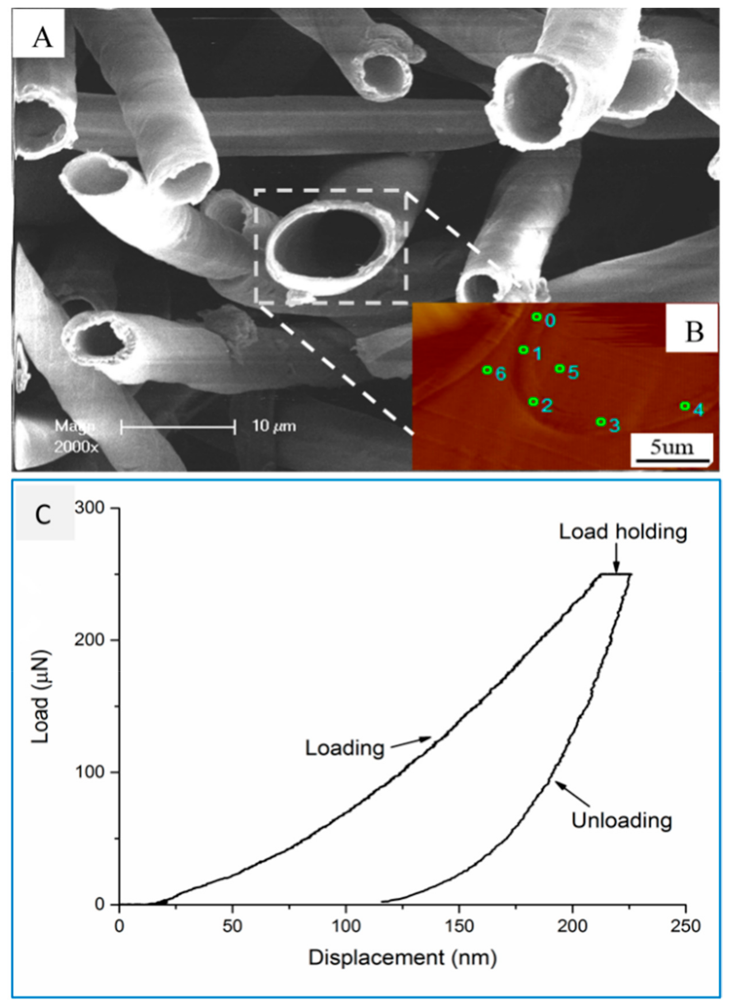 Forests 10 00938 g011