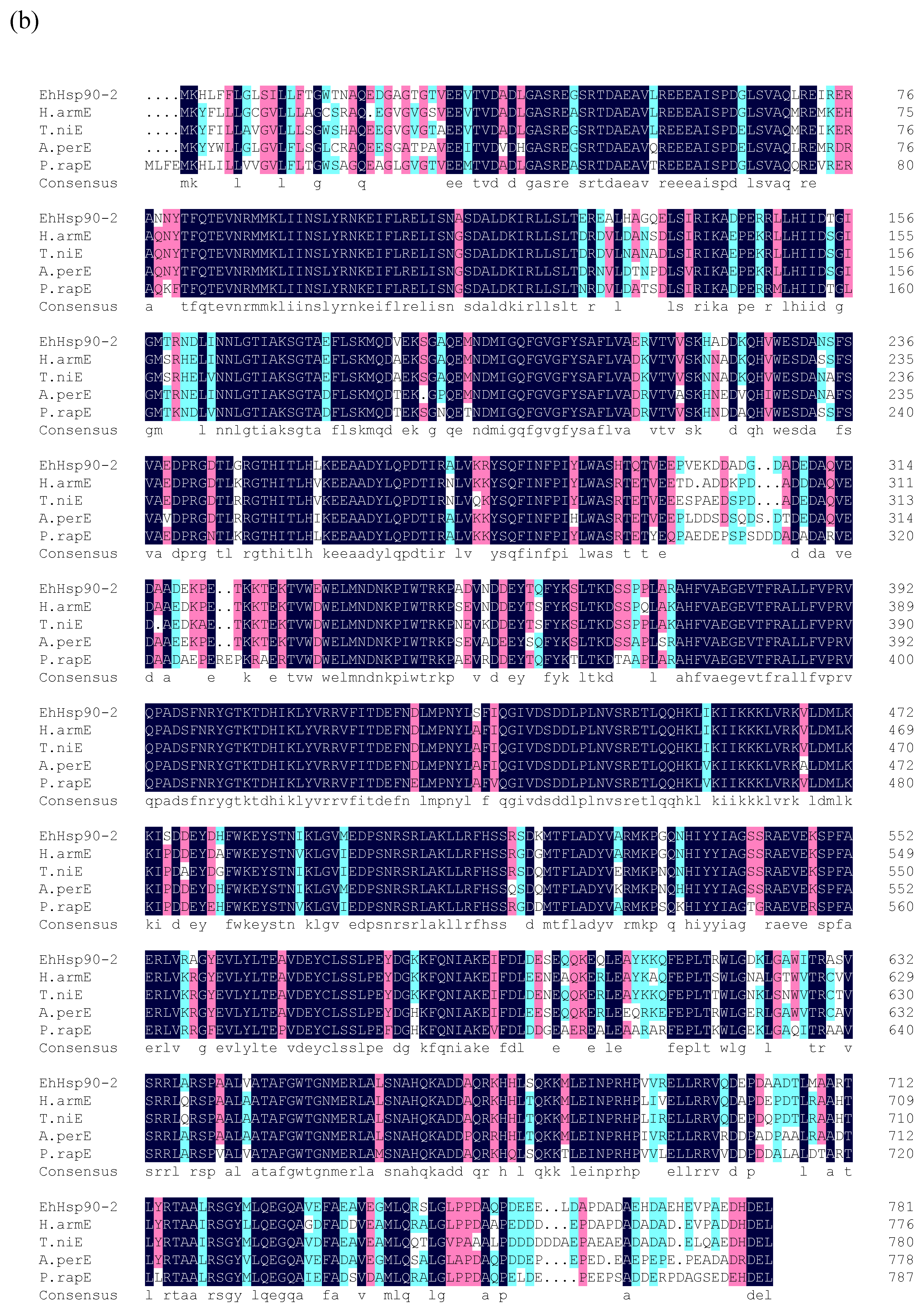 Forests 10 01039 g003b