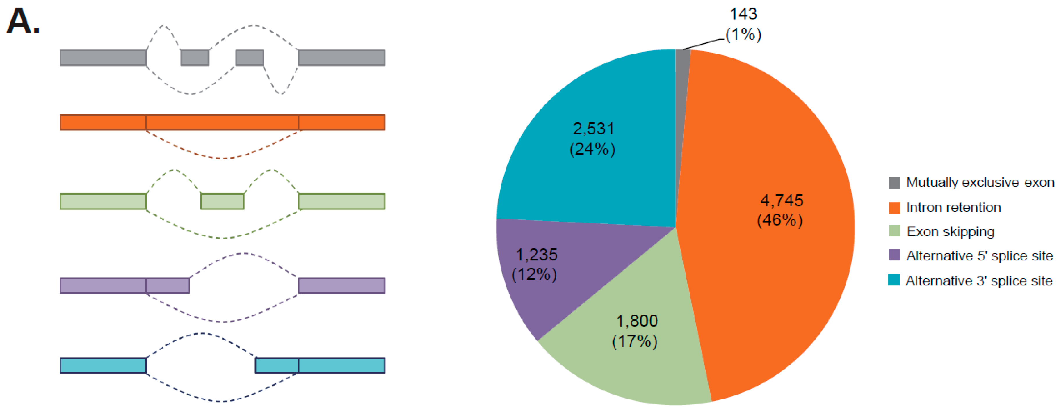 Forests 10 01043 g004a