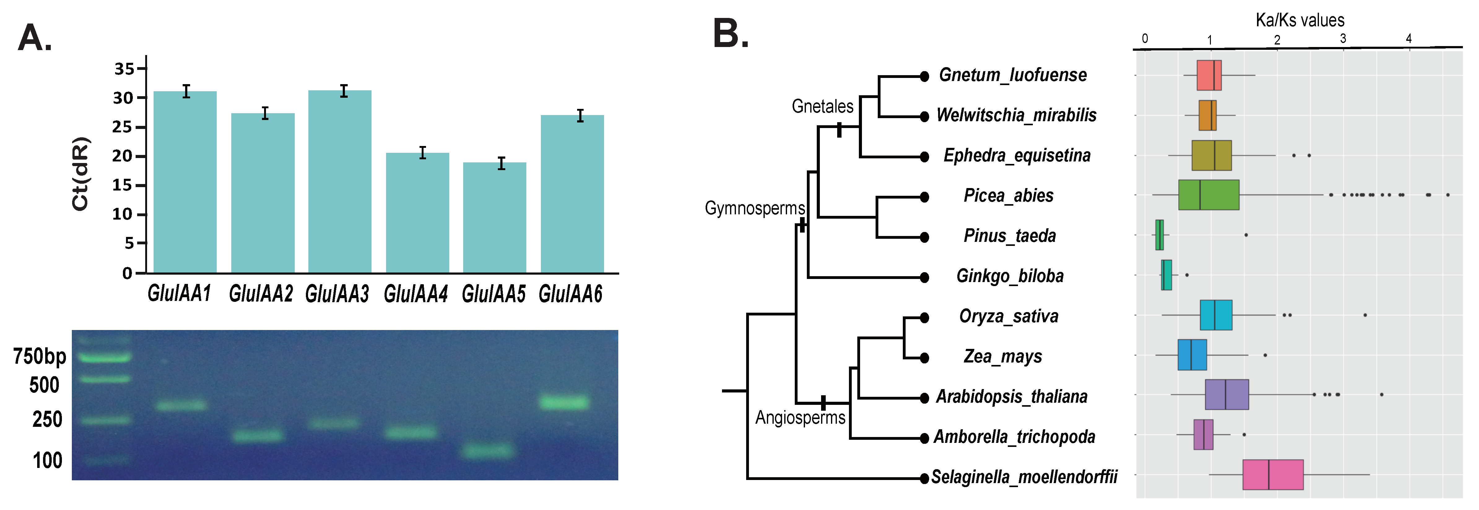 Forests 10 01043 g006a