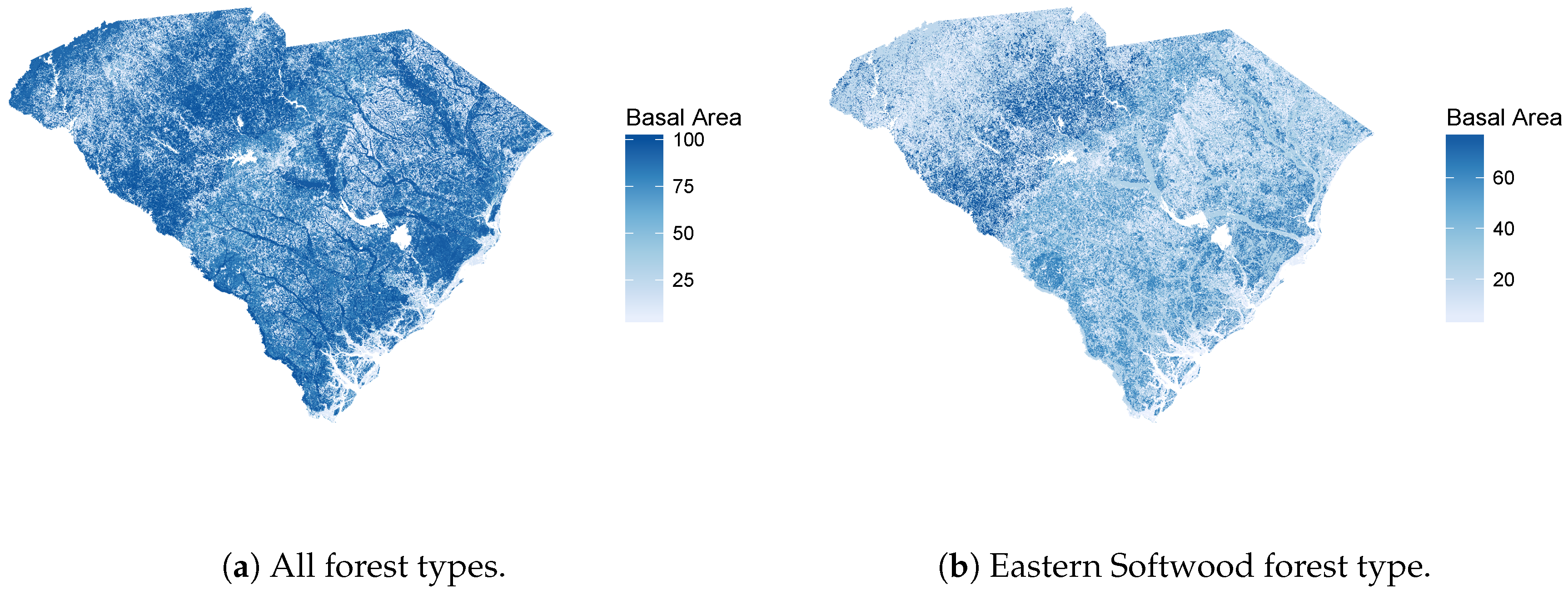 Forests 10 01045 g004 Forests 10 01045 g004