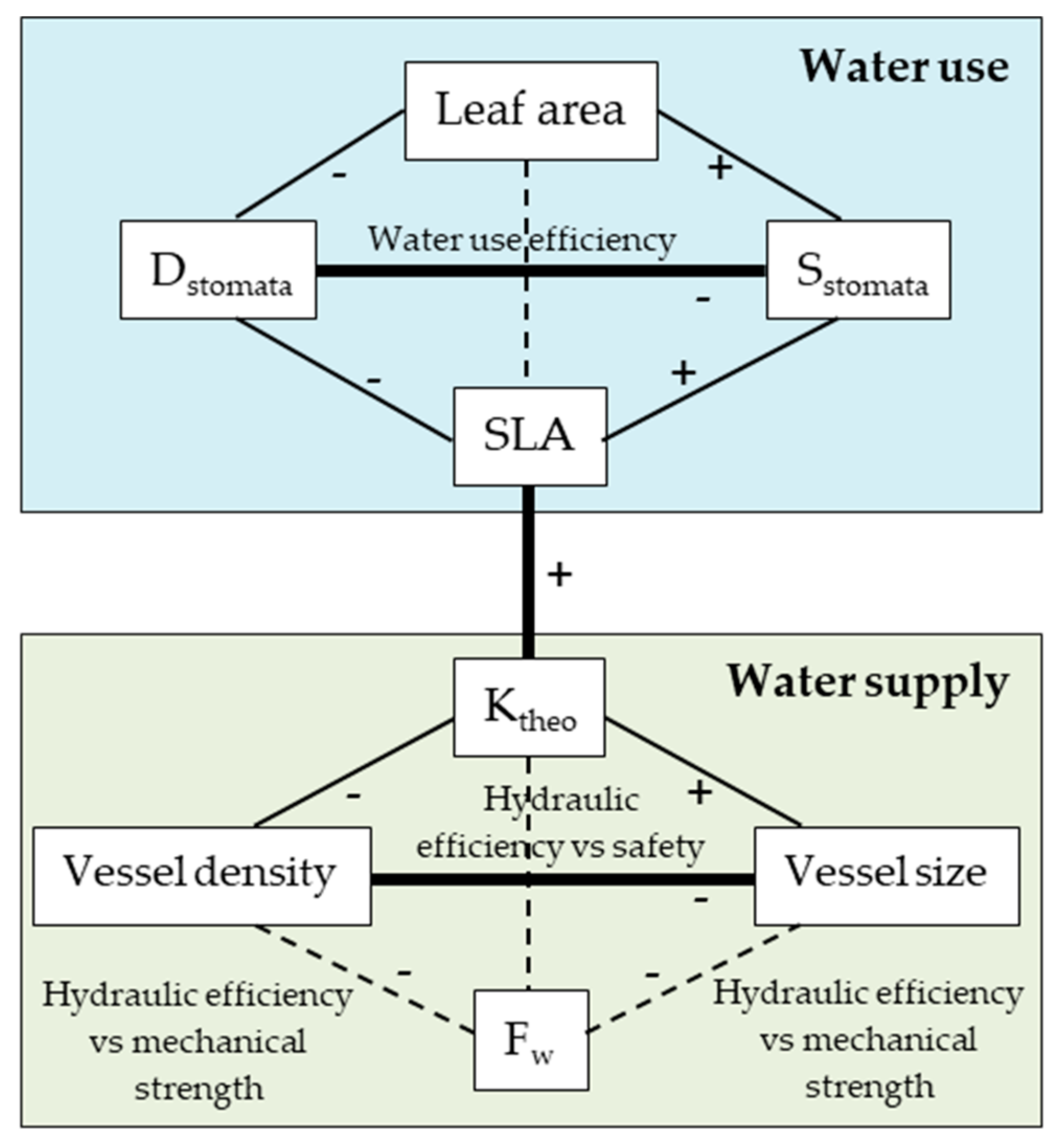 Forests 11 00035 g001