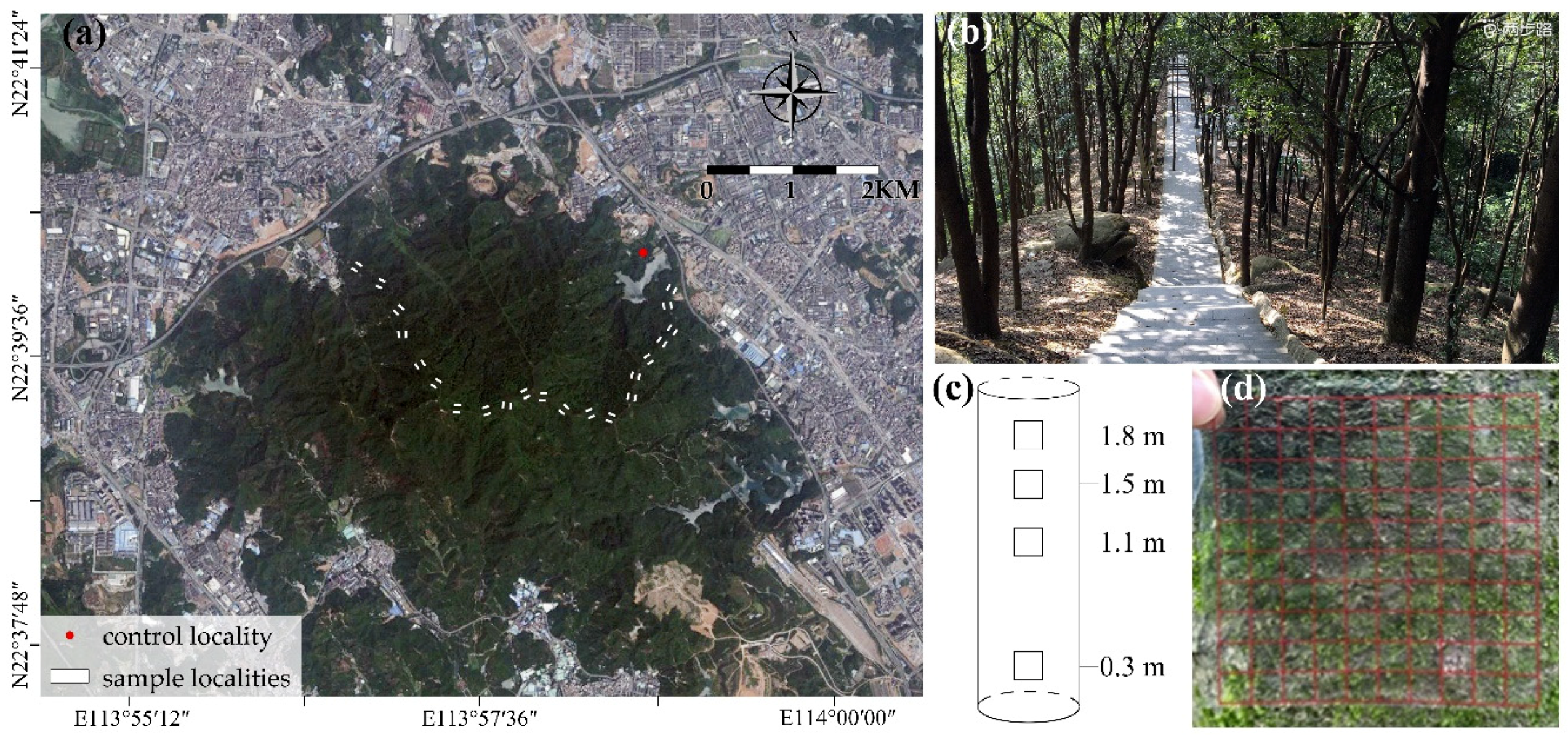 Forests 11 00174 g001