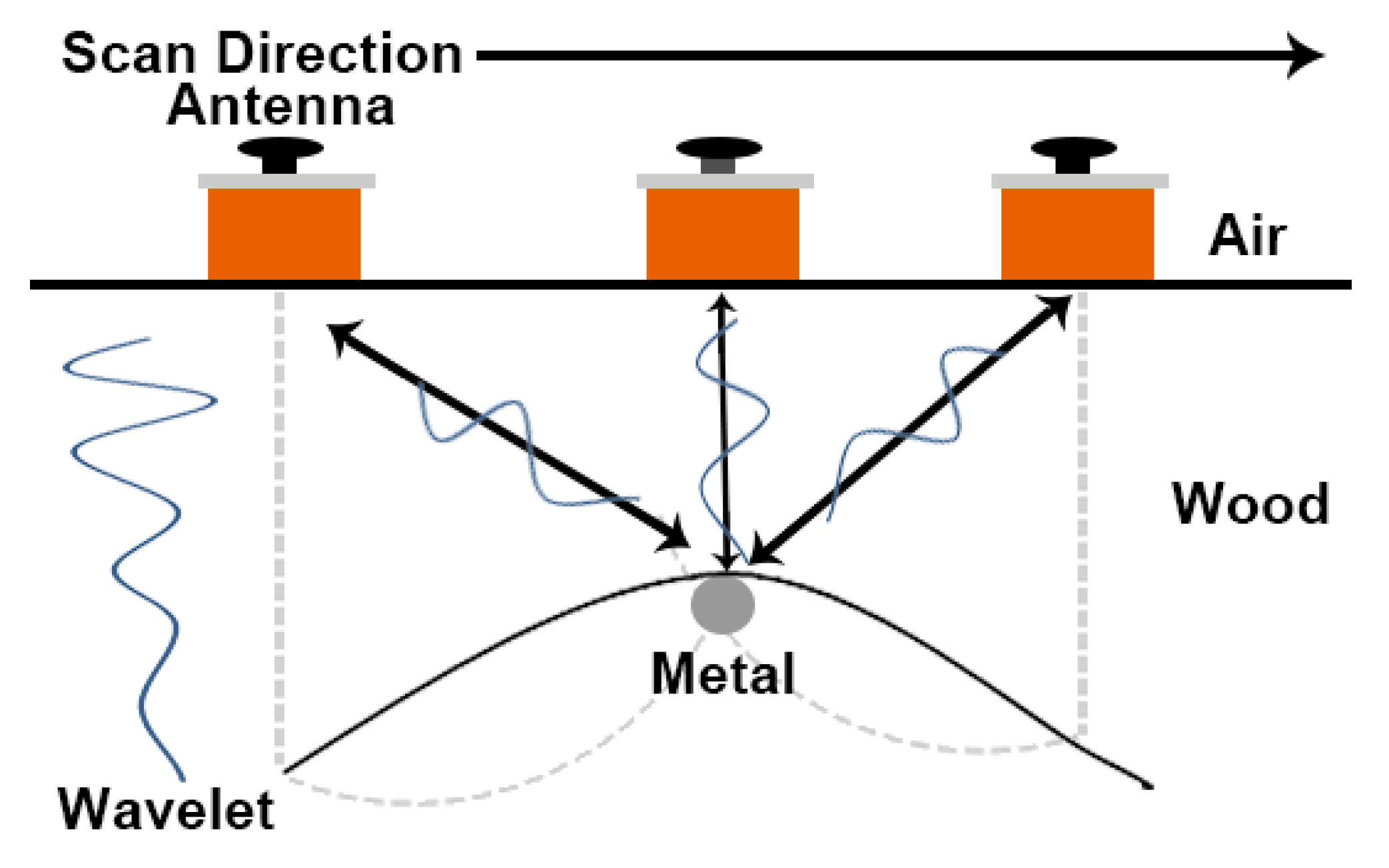 Forests 11 00230 g001