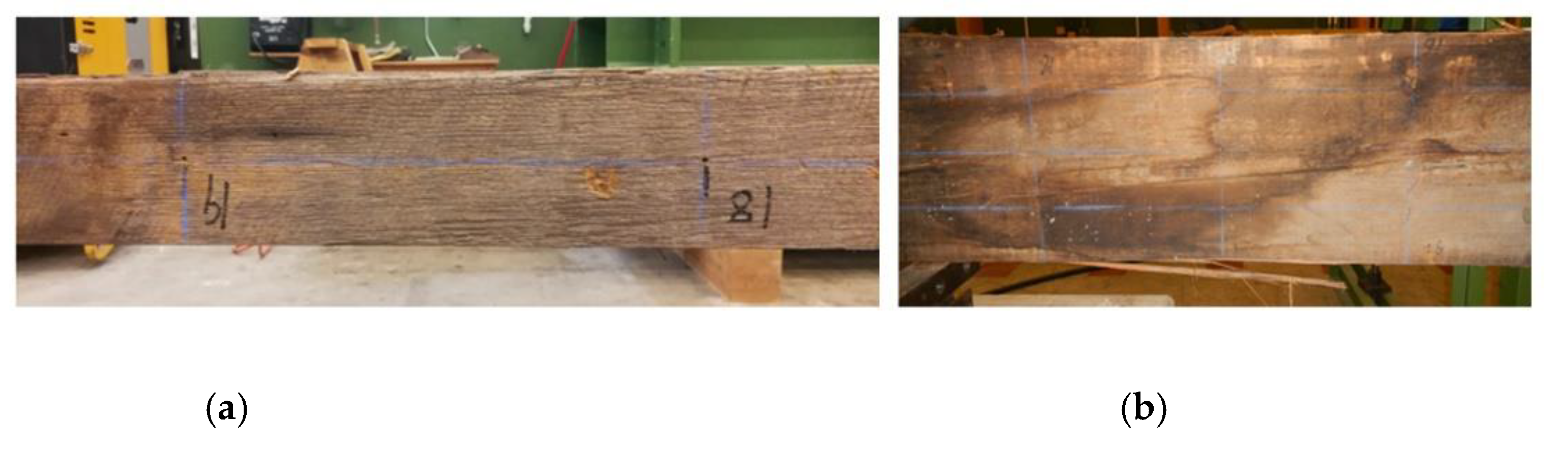 Forests 11 00230 g003