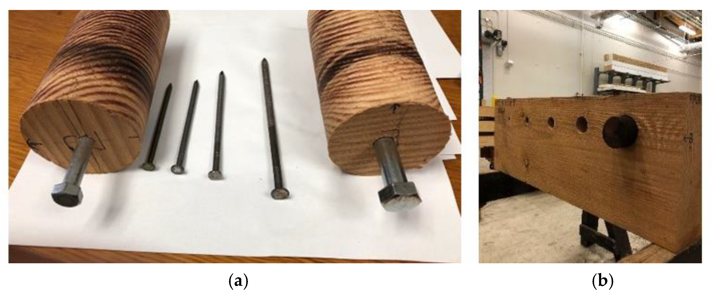 Forests 11 00230 g005