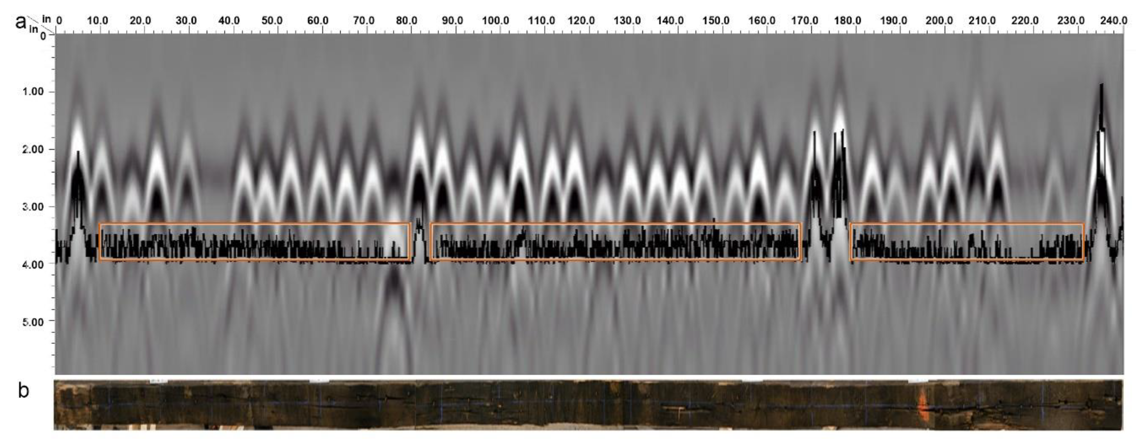 Forests 11 00230 g014
