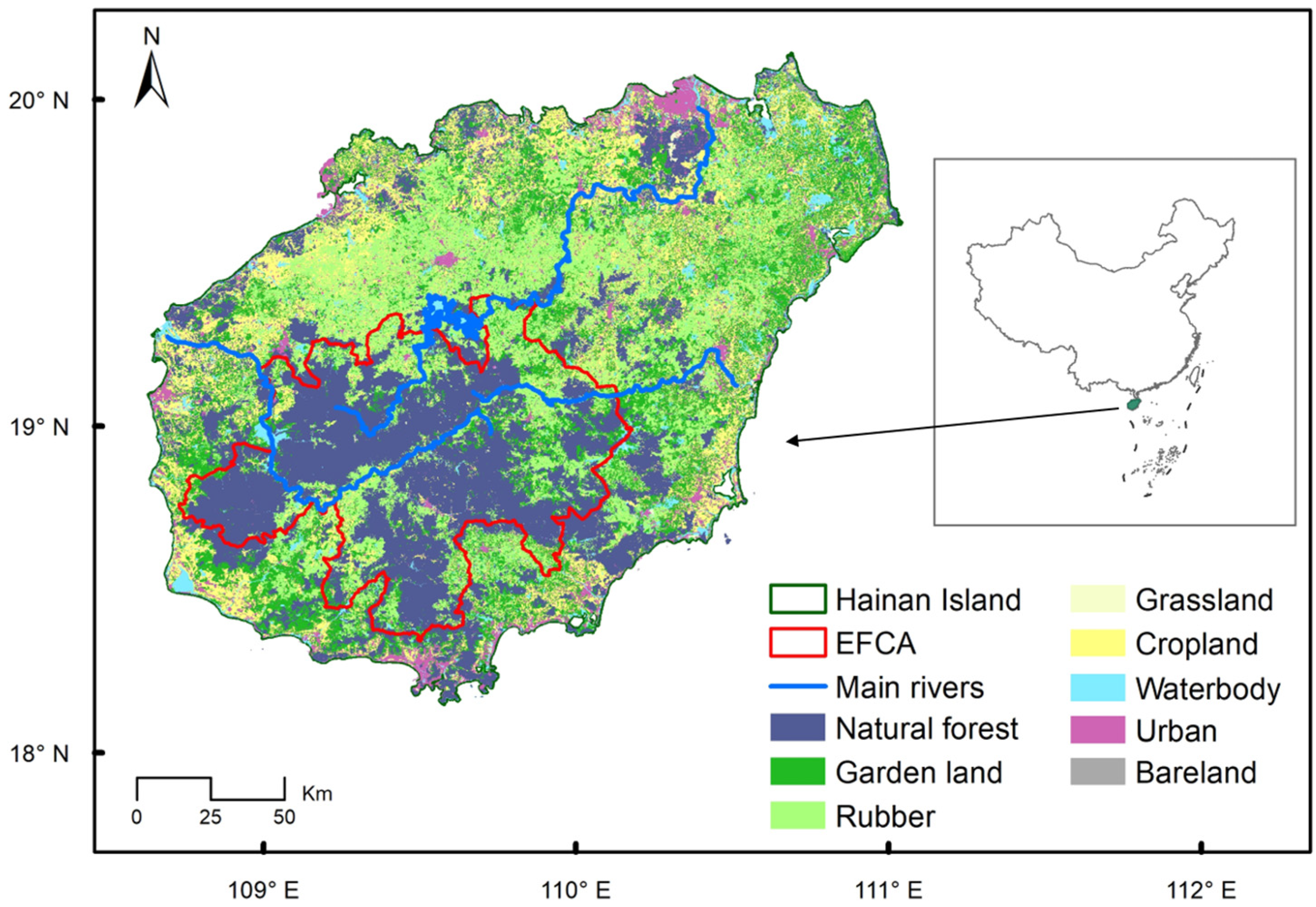 Forests 11 00563 g001