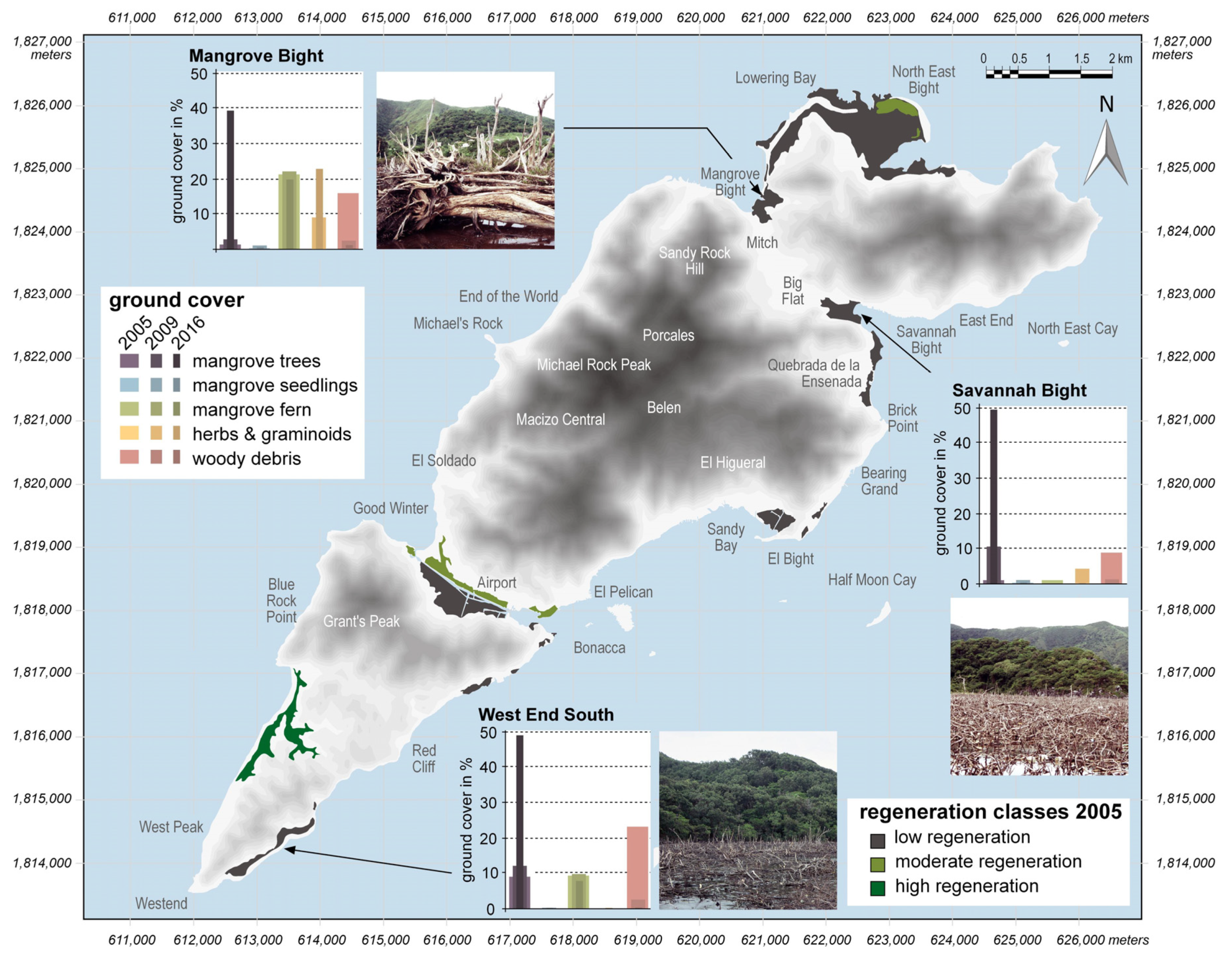 Forests 11 01068 g002