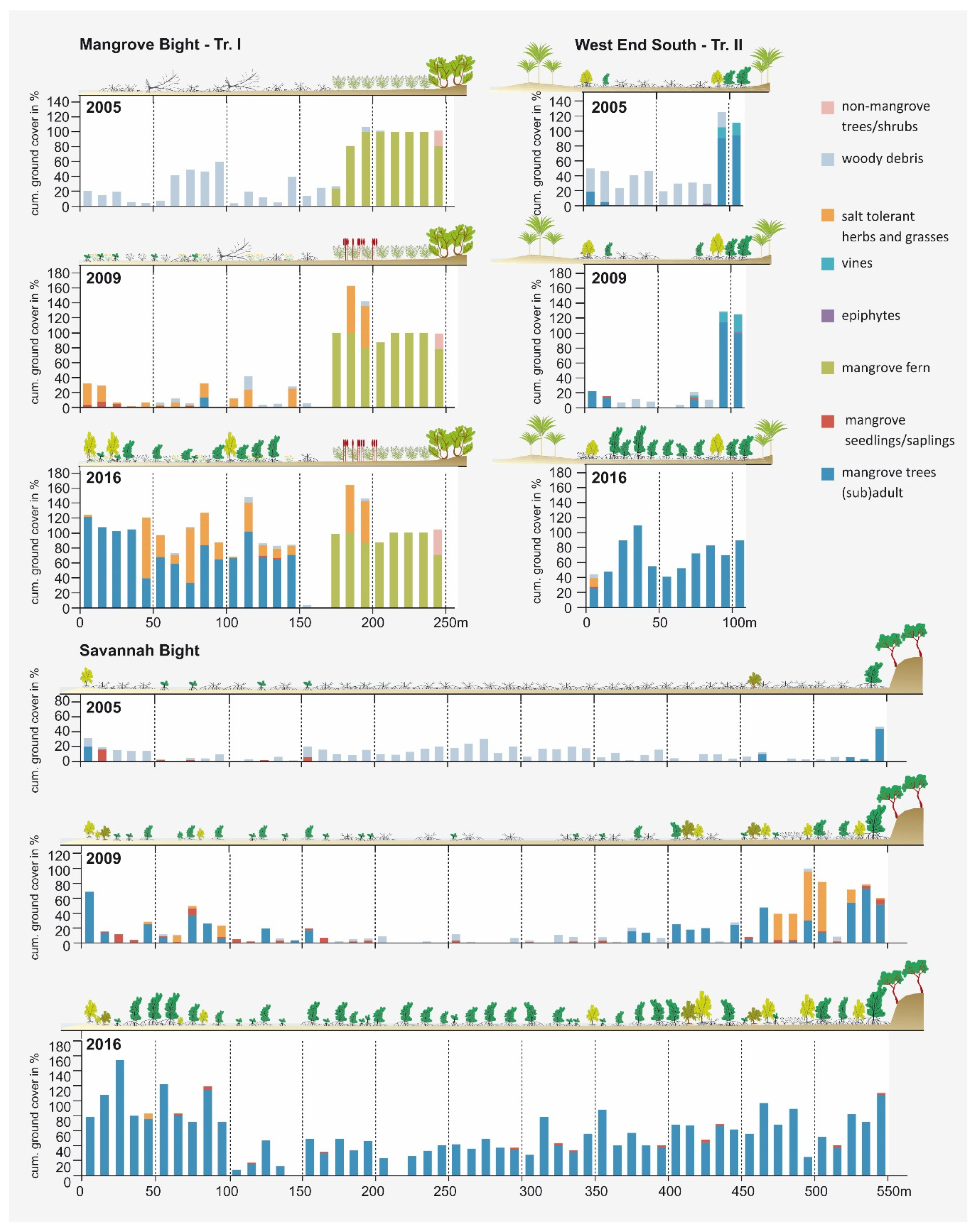 Forests 11 01068 g004