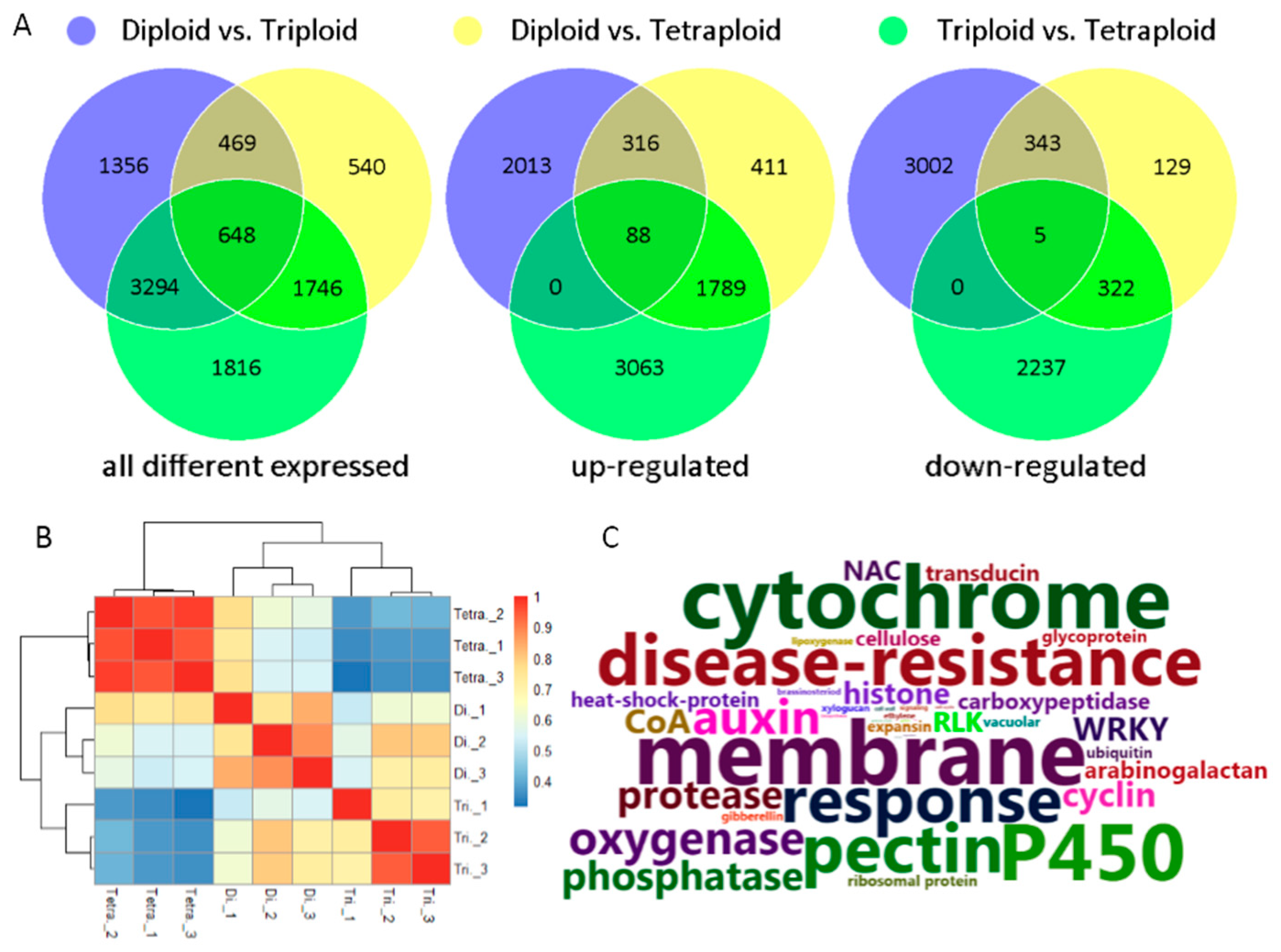 Forests 11 01233 g003