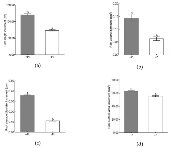 Forests Free Full Text Genome Wide Characterization And