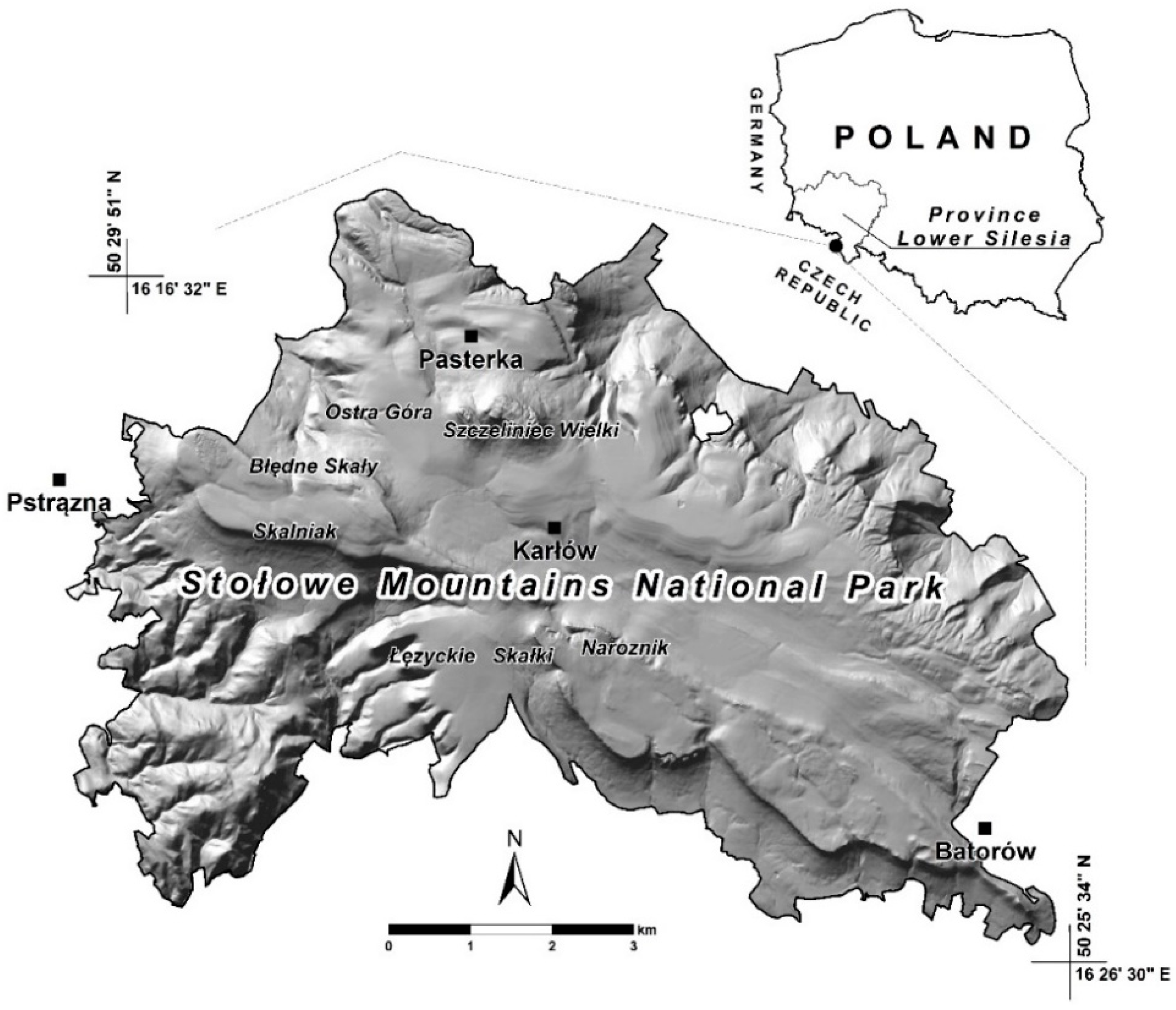 Forests 12 00333 g001