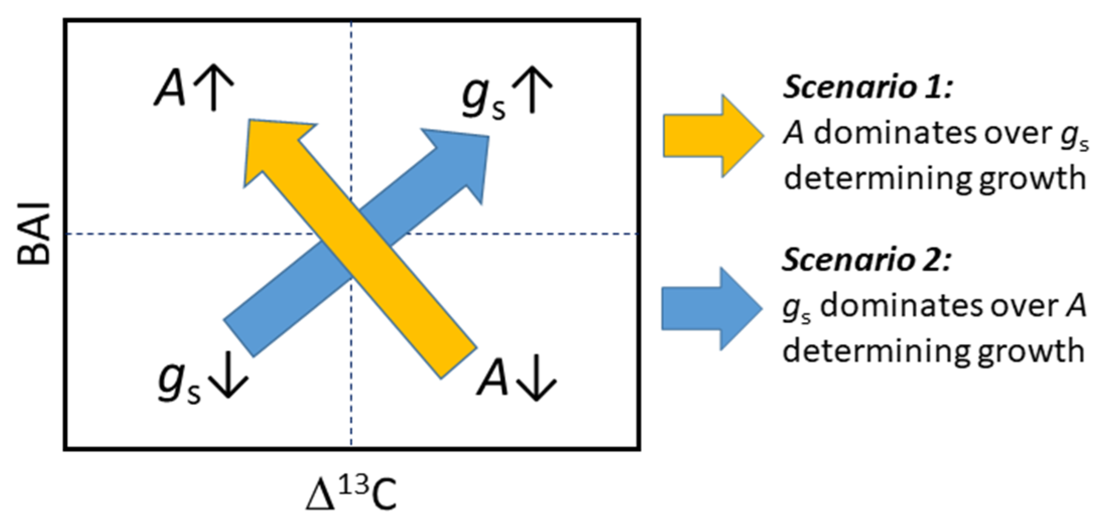 Forests 12 01093 g006