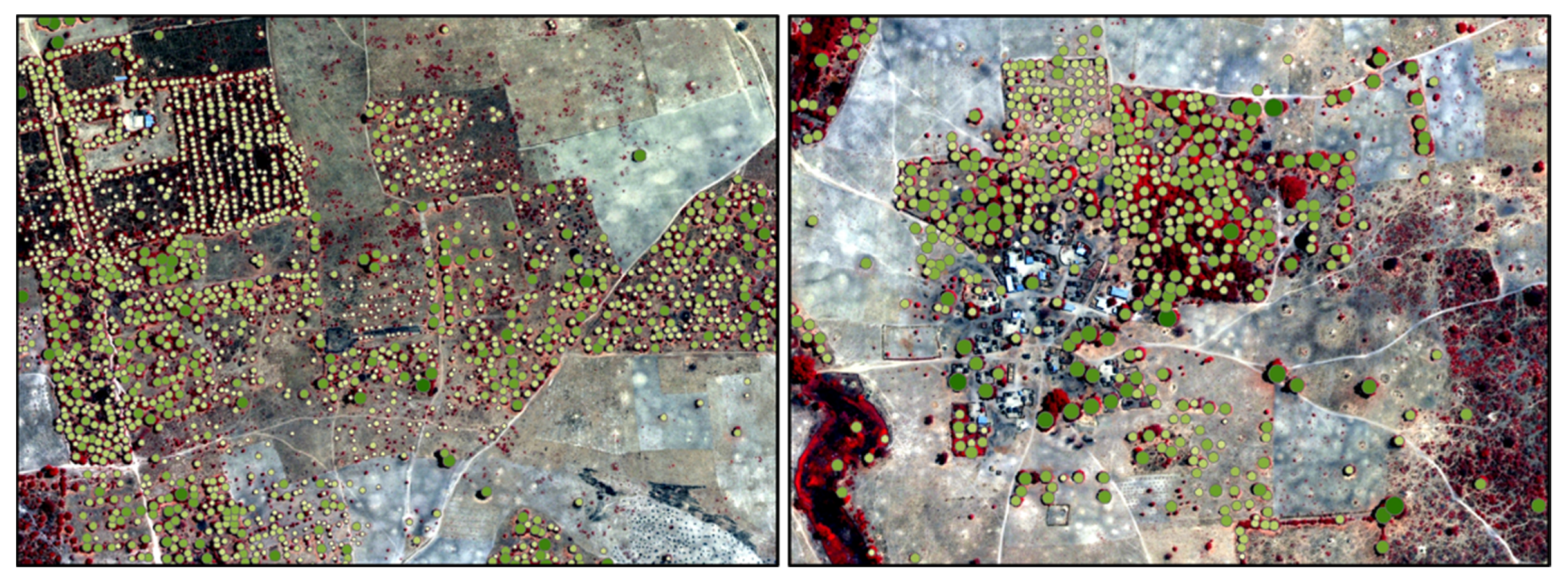 Forests 12 01652 g007