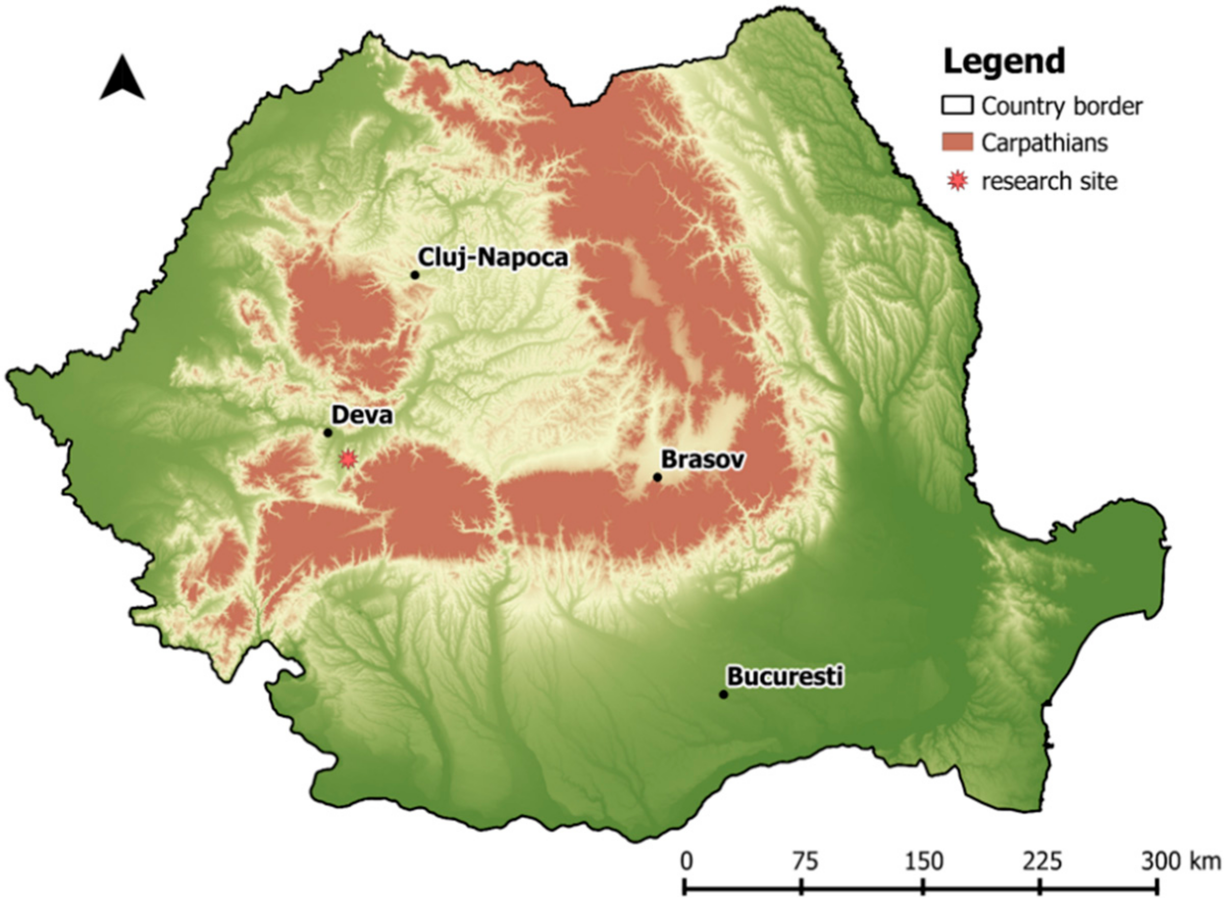 Forests 12 01763 g001
