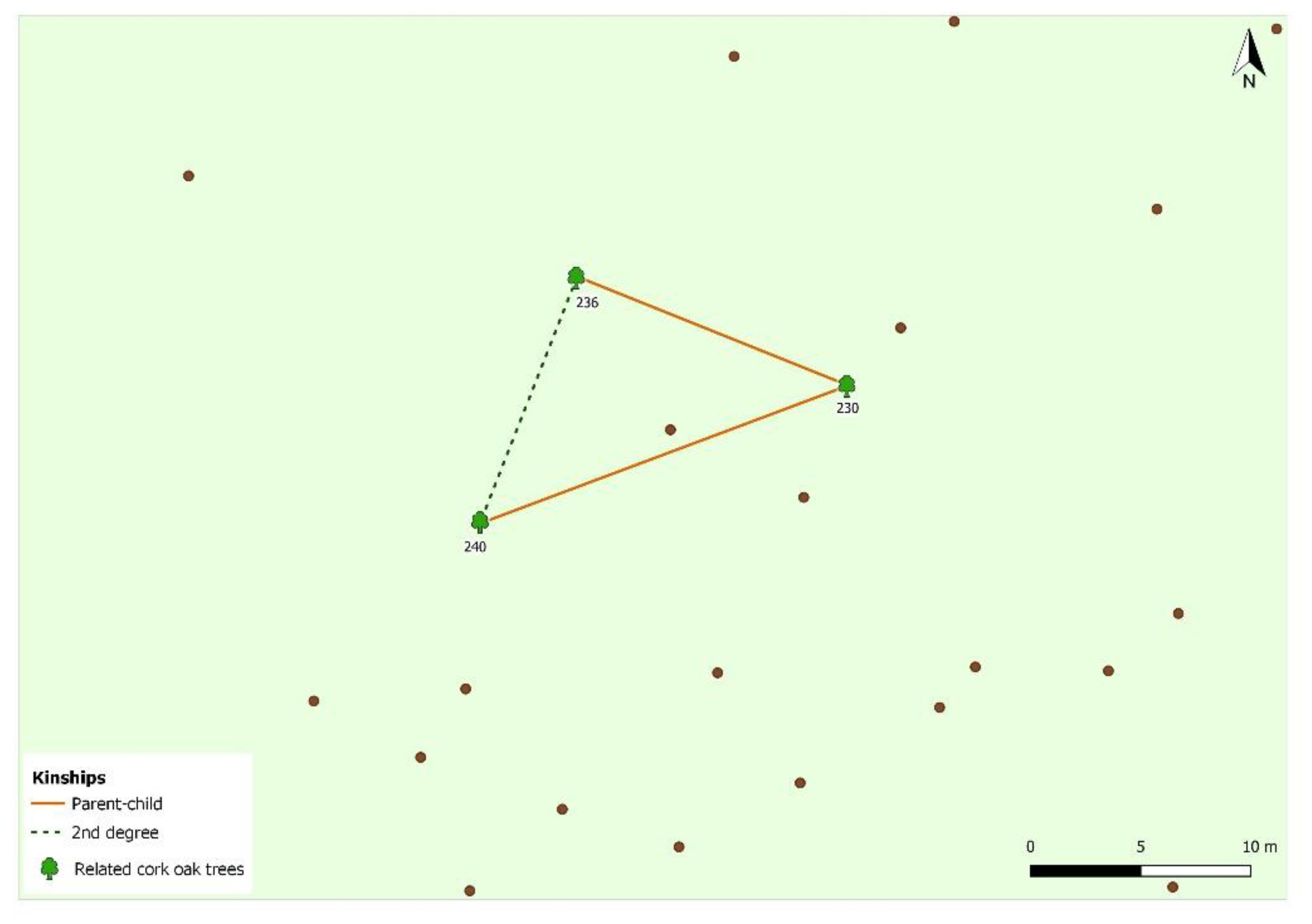 Forests 13 00226 g005