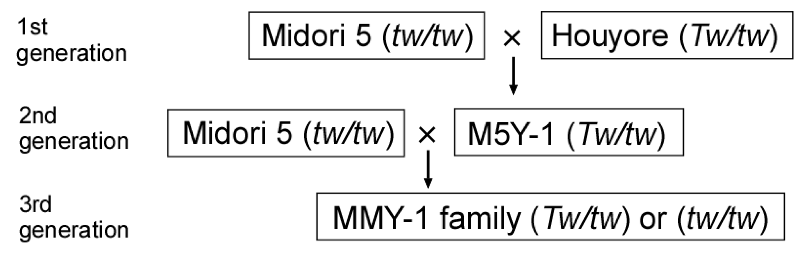 Forests 13 01524 g002