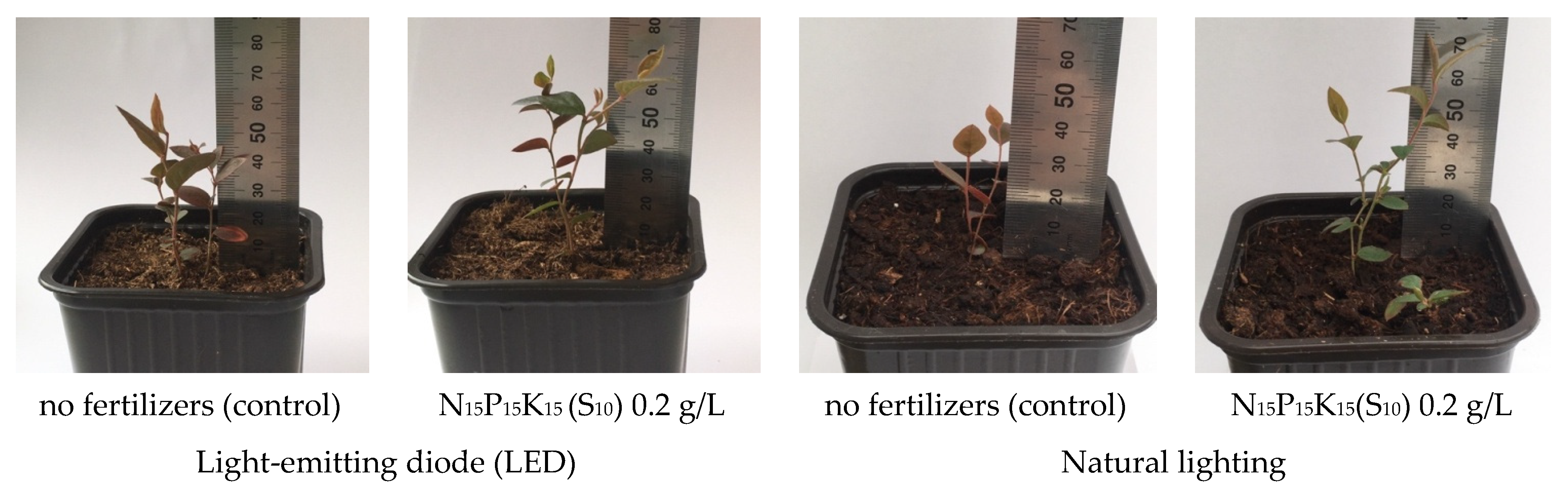 Forests 13 01550 g002
