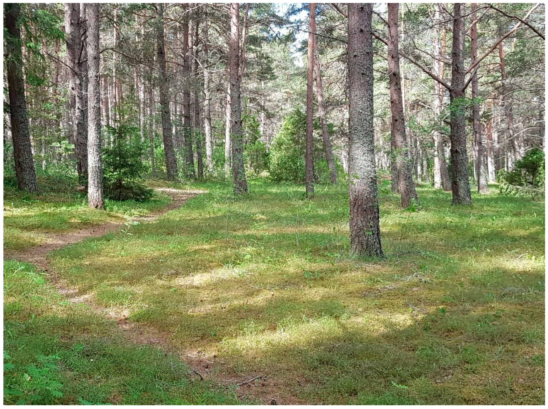 Forests 13 01715 g006