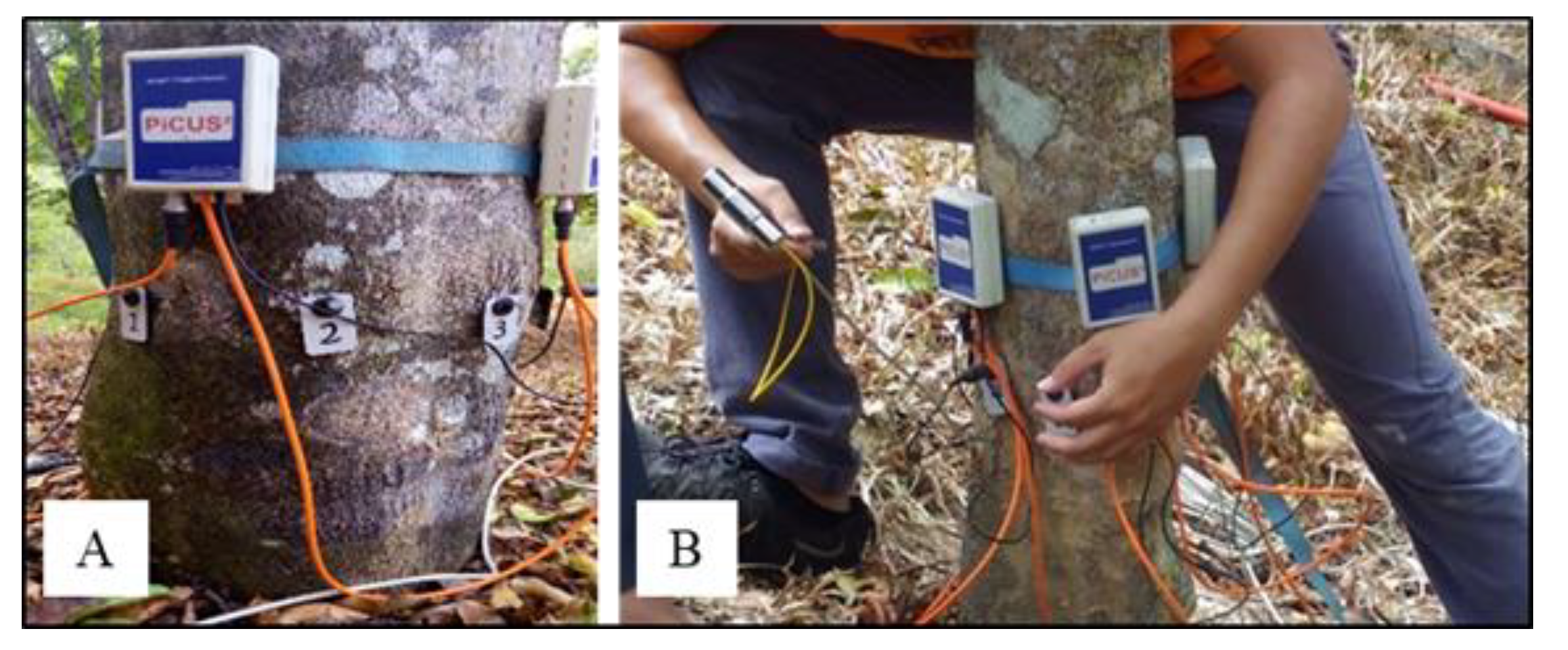 Forests 13 01731 g003