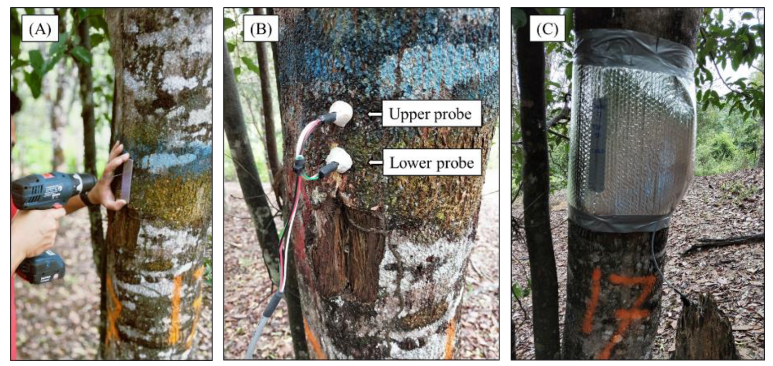 Forests 13 01731 g004