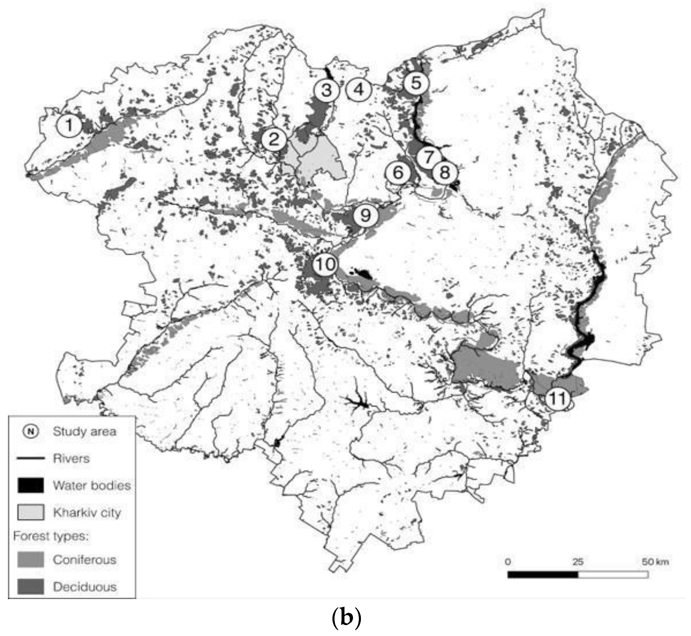 Forests 13 01732 g001b